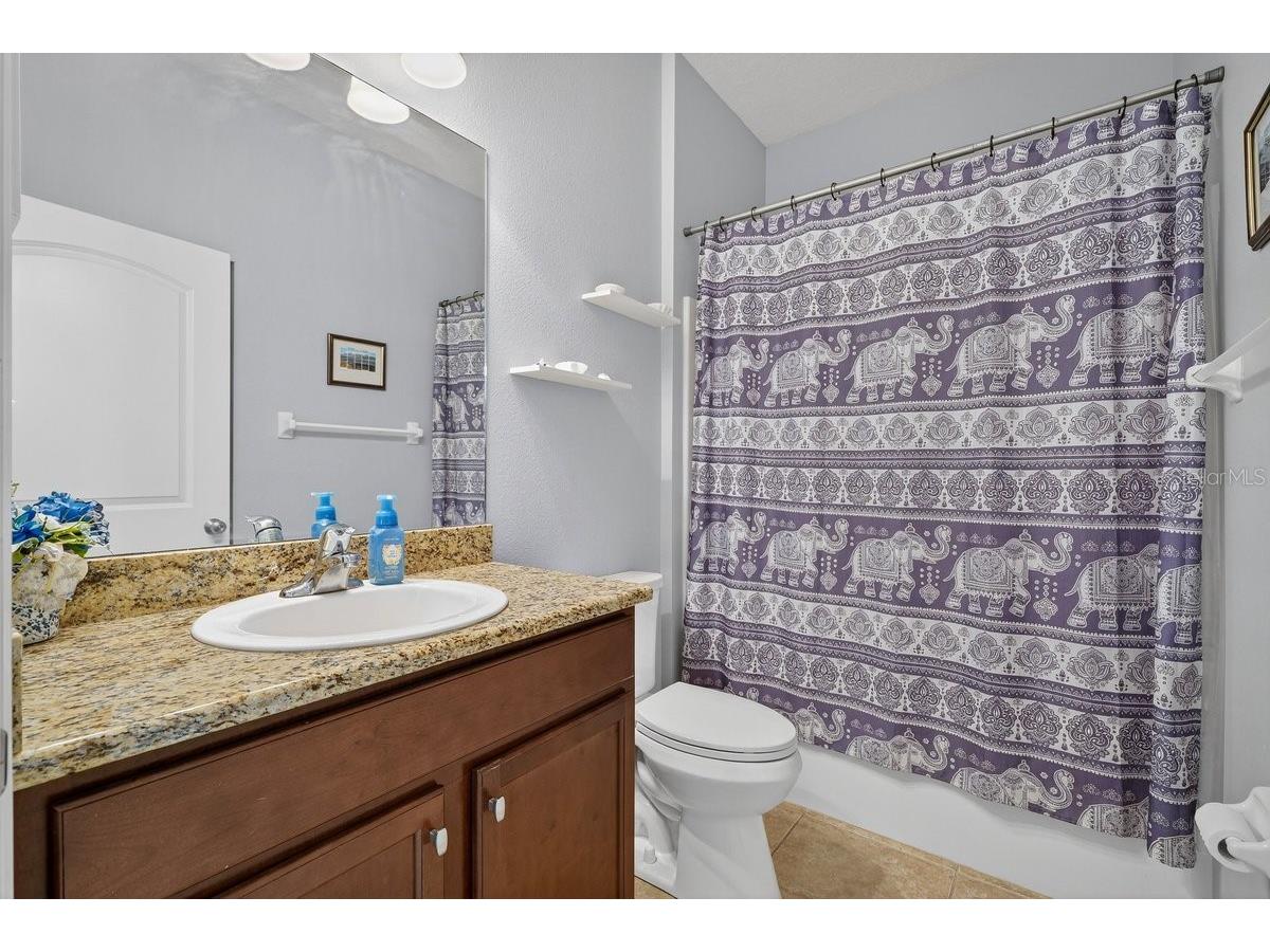 222 Bird Of Paradise Drive Palm Coast FL 32137 V4946878 image28