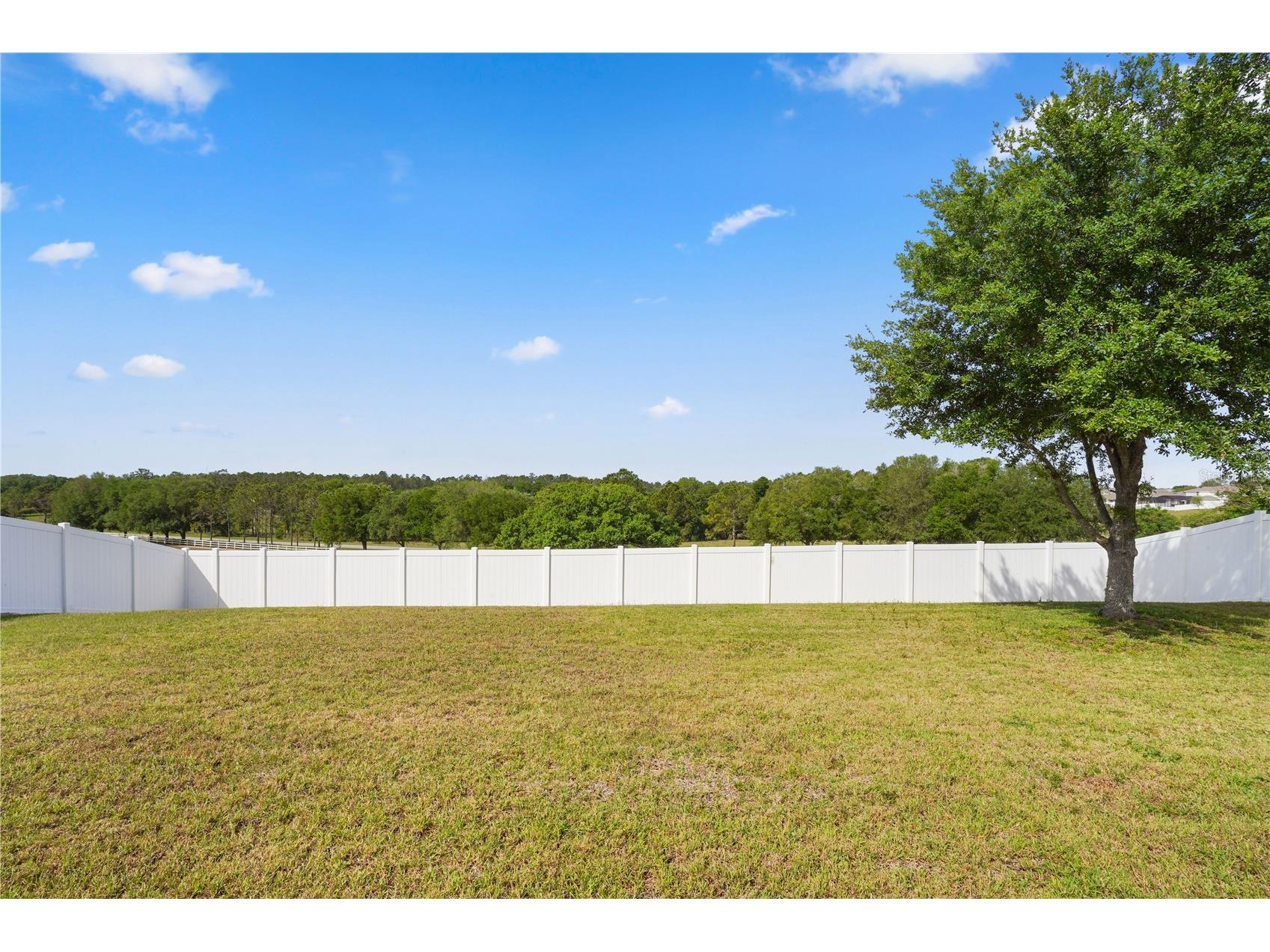 222 Blackstone Creek Road Groveland FL 34736 O6396117 image36