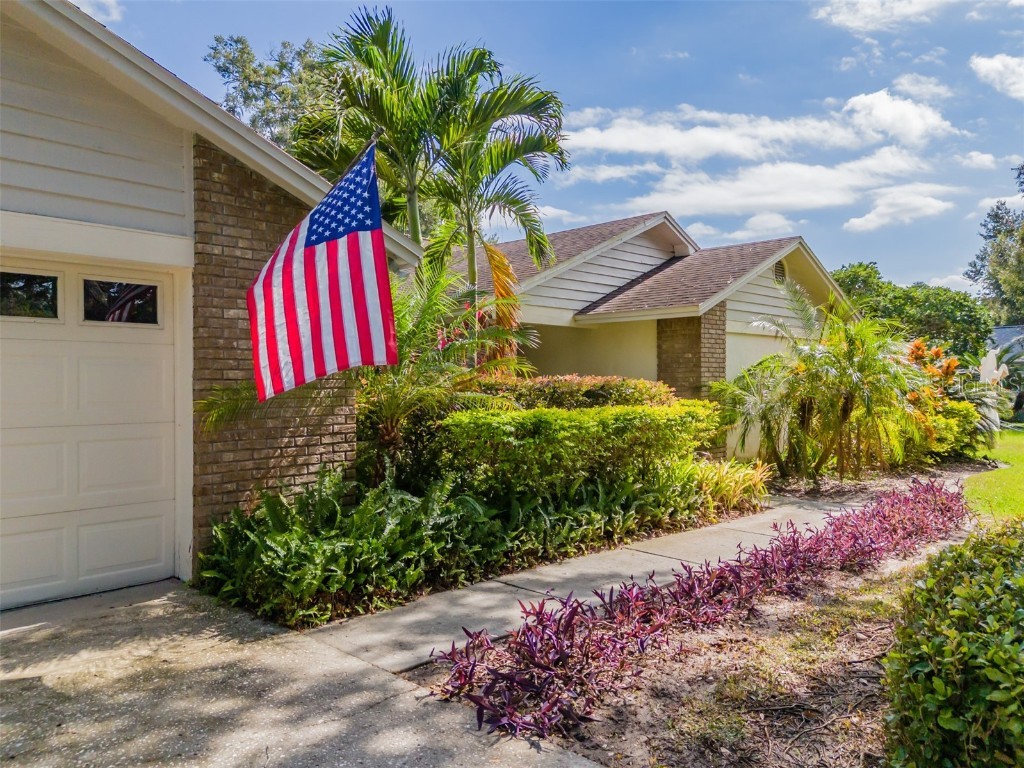 222 Halton Circle Seffner FL 33584 TB8441880 image8