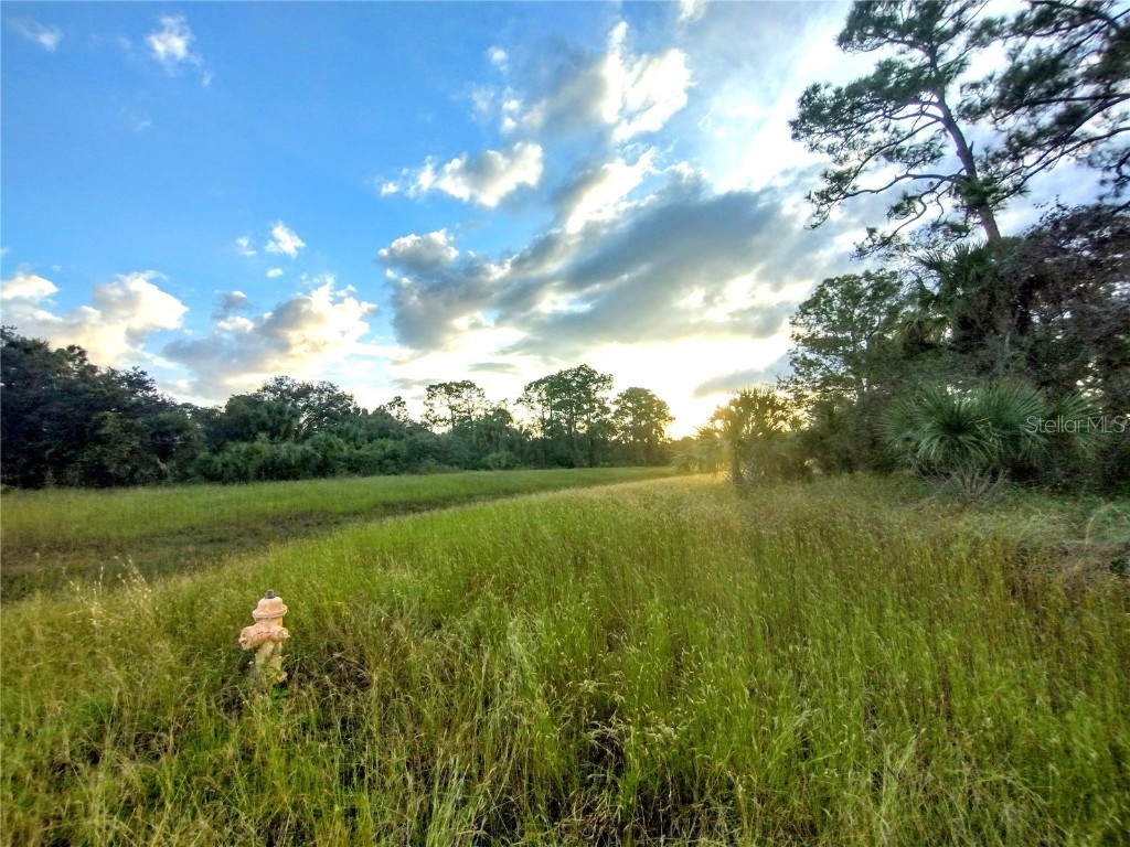 222 John Young Terrace Labelle FL 33935 T3479318 image1