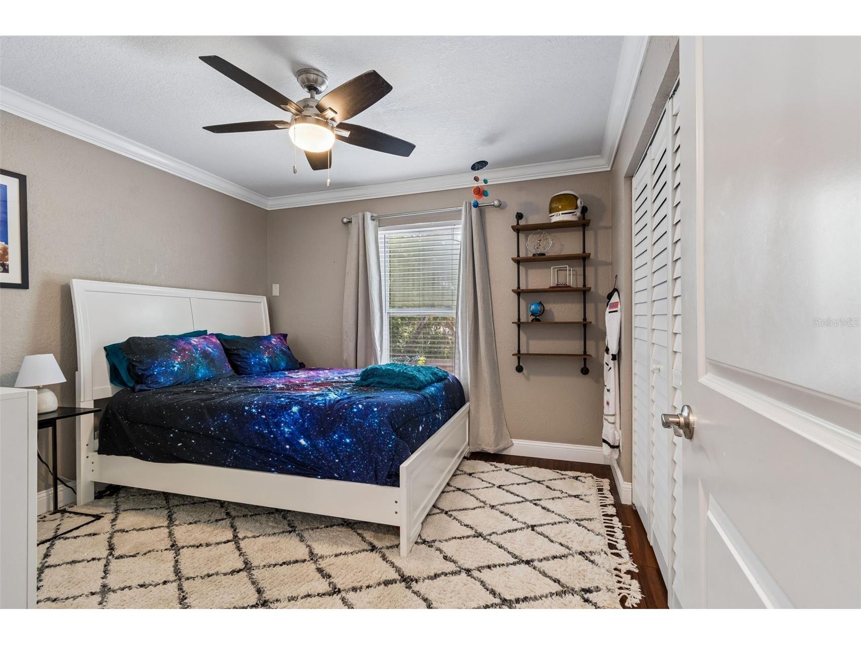 222 Lotus Drive Safety Harbor FL 34695 TB8514203 image22