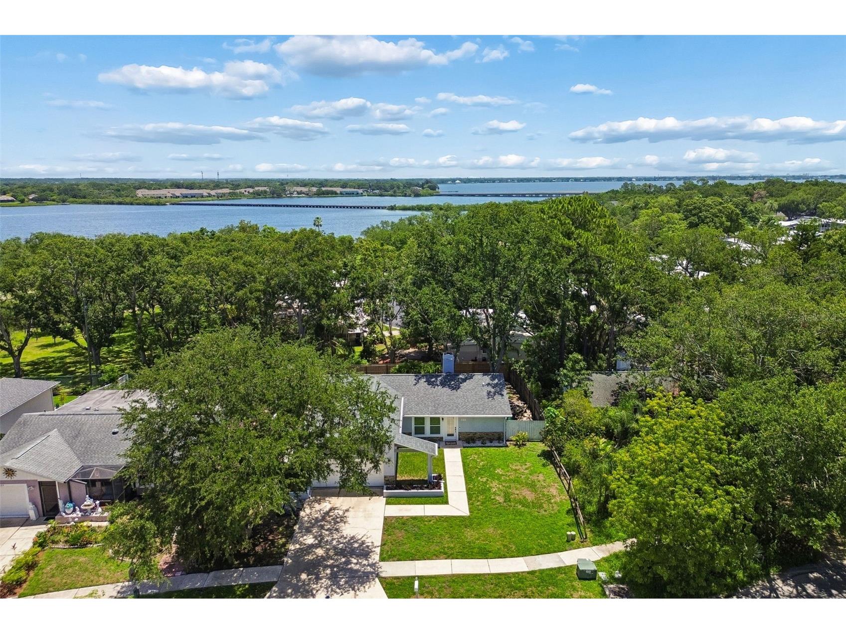 222 Lotus Drive Safety Harbor FL 34695 TB8514203 image53
