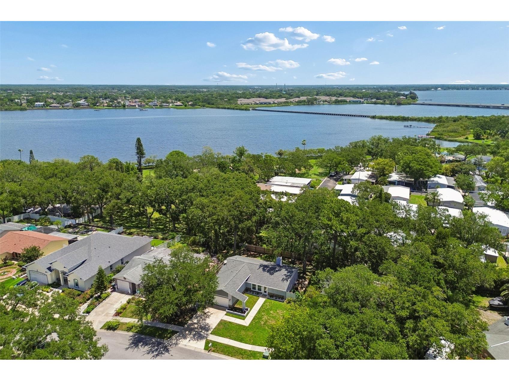 222 Lotus Drive Safety Harbor FL 34695 TB8514203 image57