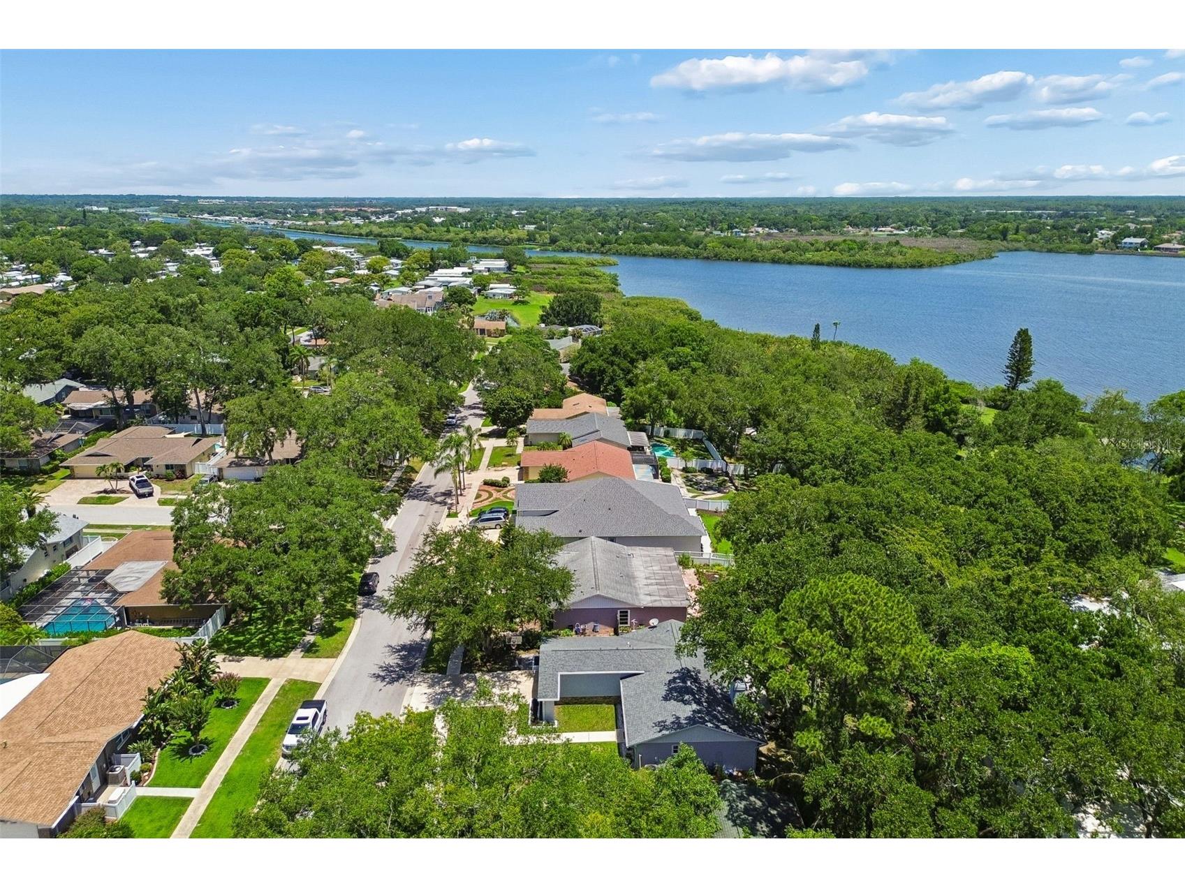 222 Lotus Drive Safety Harbor FL 34695 TB8514203 image58