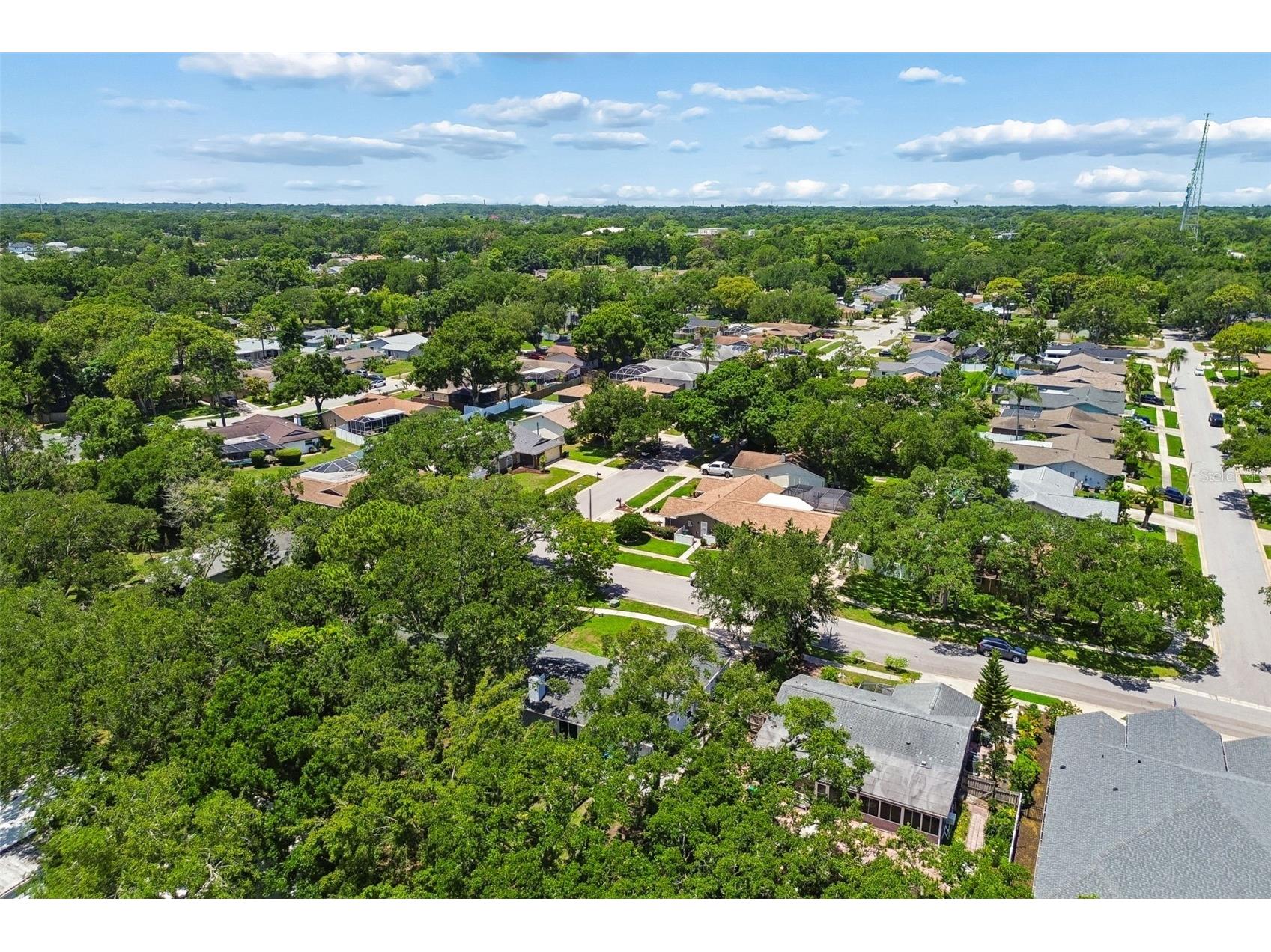 222 Lotus Drive Safety Harbor FL 34695 TB8514203 image59