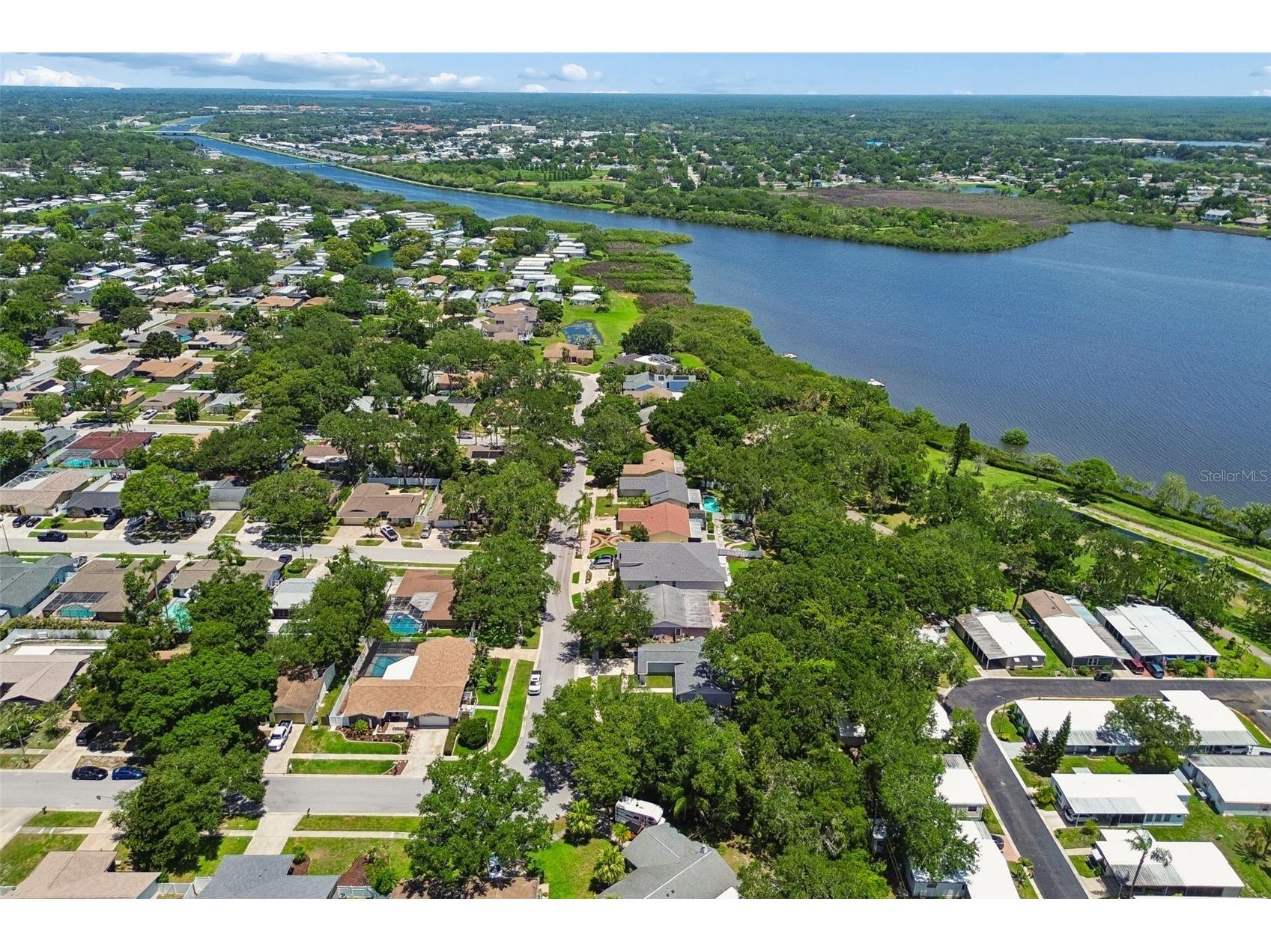 222 Lotus Drive Safety Harbor FL 34695 TB8514203 image62