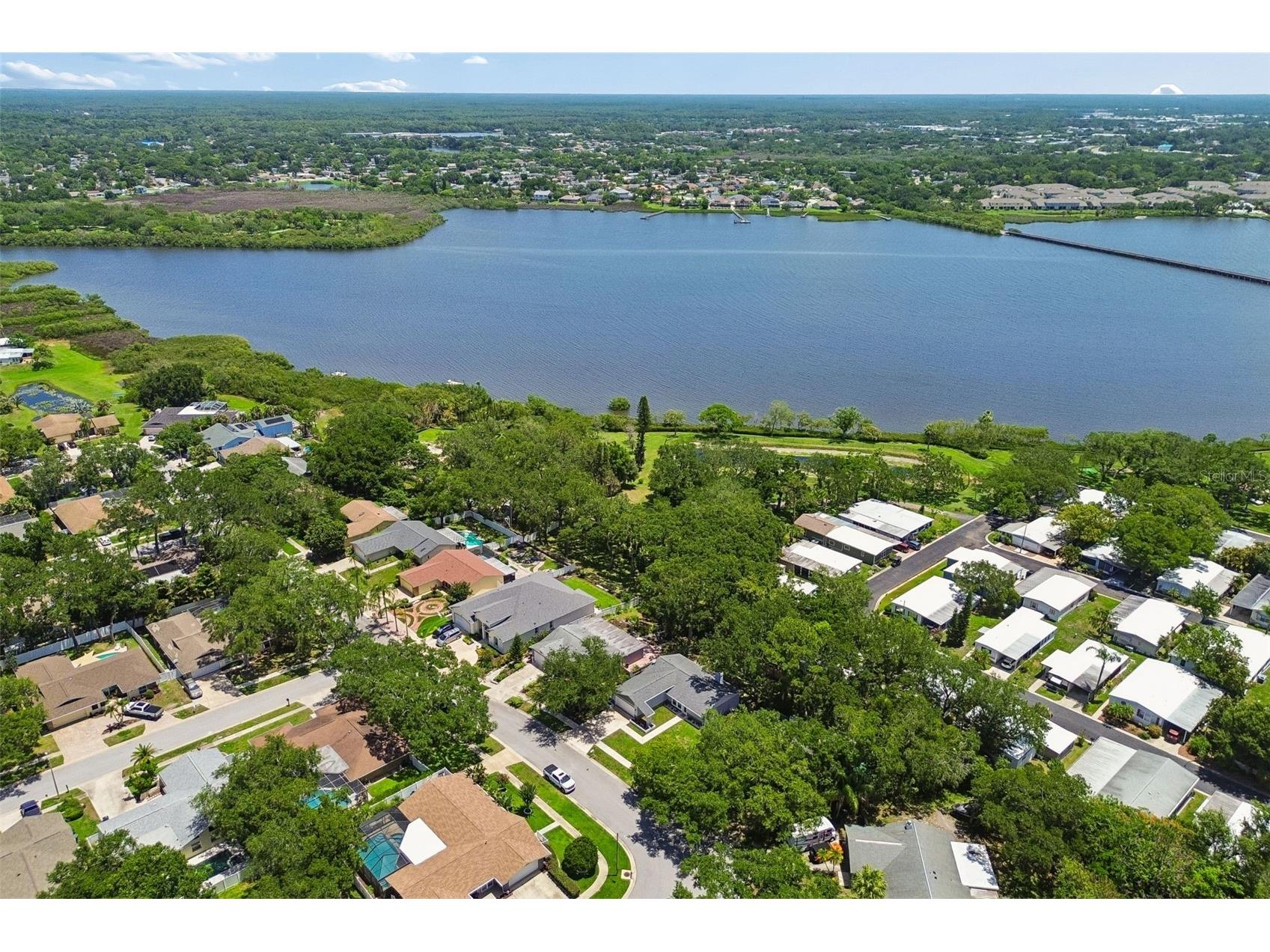 222 Lotus Drive Safety Harbor FL 34695 TB8514203 image63