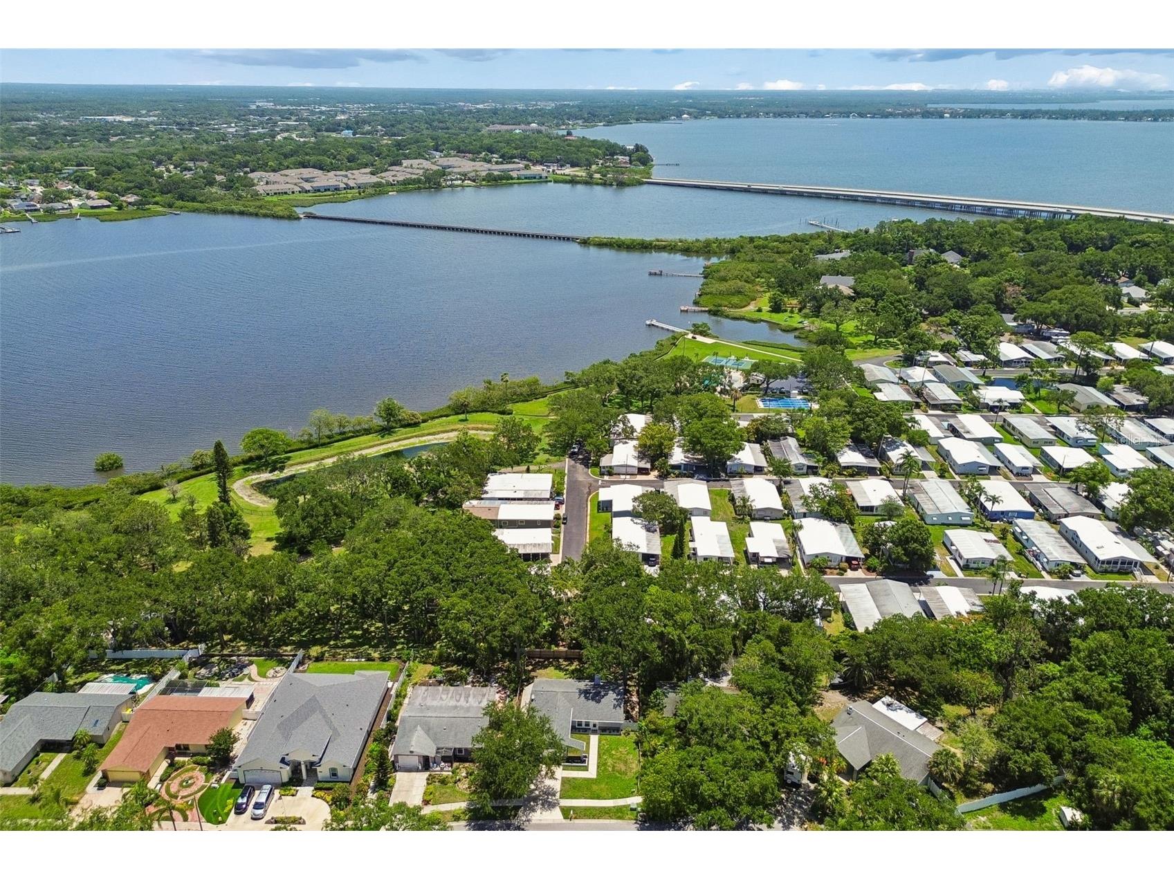 222 Lotus Drive Safety Harbor FL 34695 TB8514203 image64