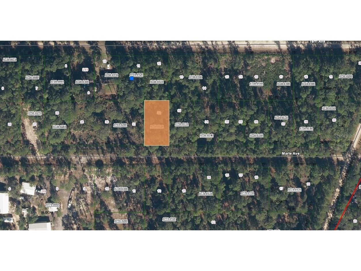 222 Marie Avenue Georgetown FL 32139 OK224081 image11