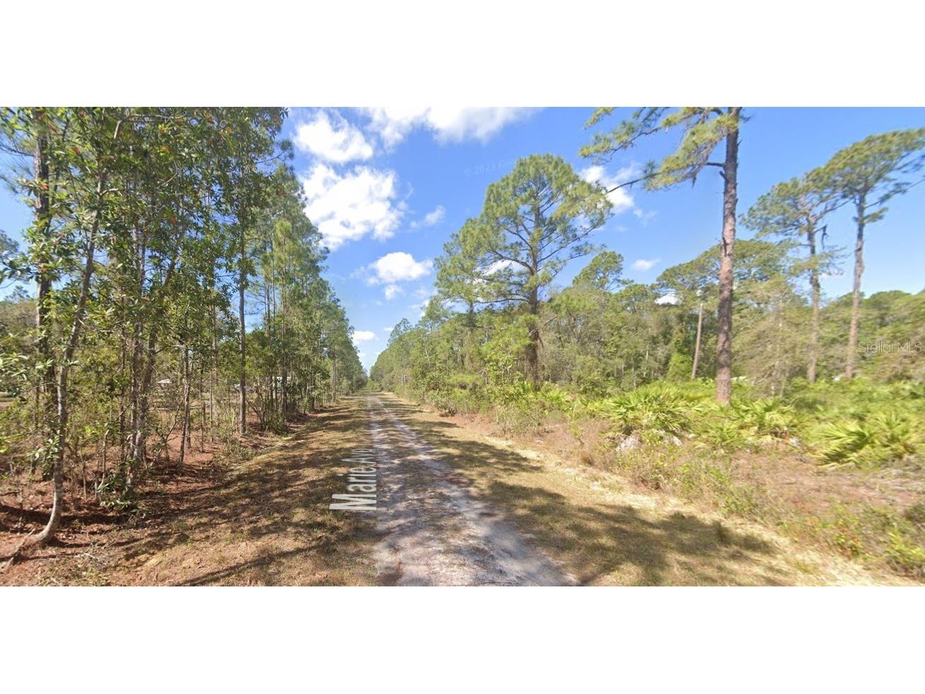 222 Marie Avenue Georgetown FL 32139 OK224081 image12