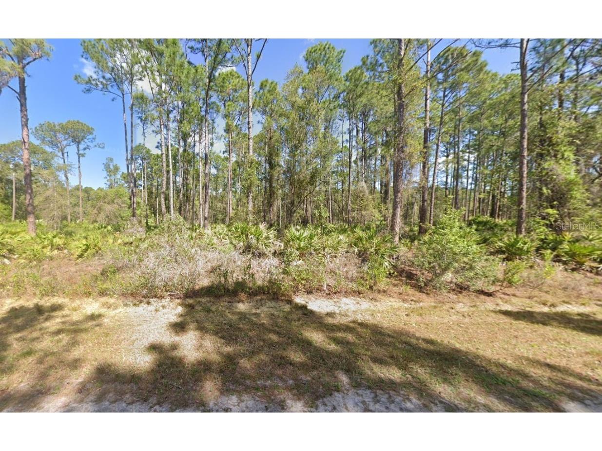 222 Marie Avenue Georgetown FL 32139 OK224081 image13