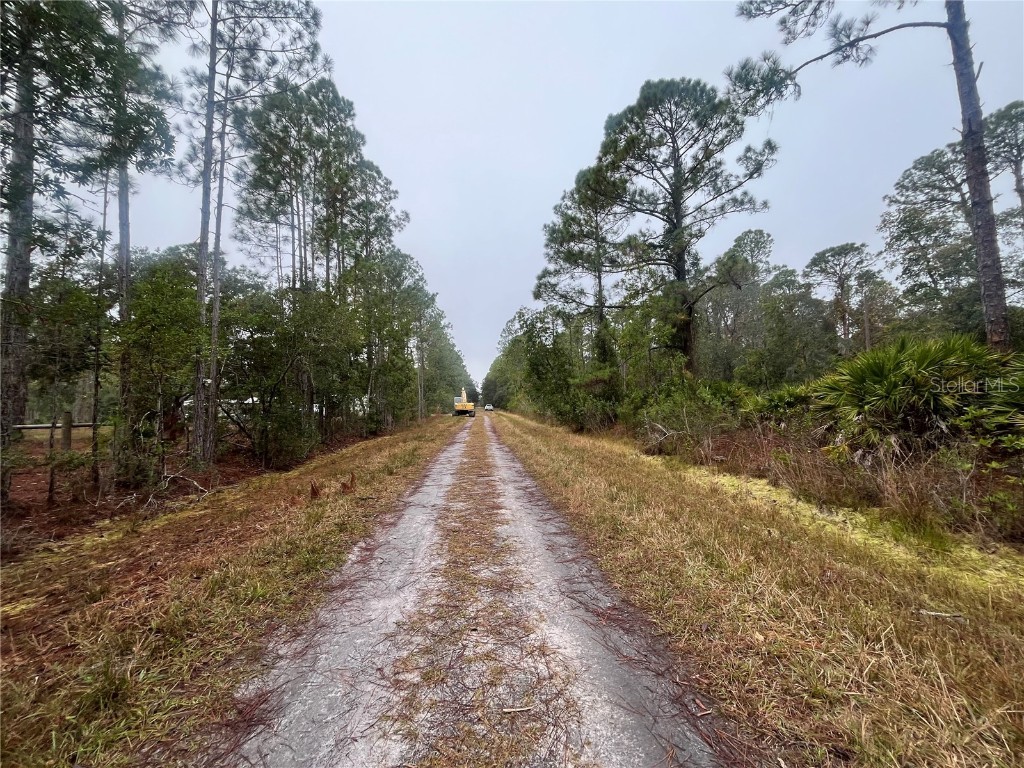 222 Marie Avenue Georgetown FL 32139 OK224081 image6