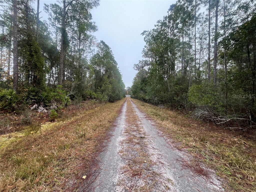 222 Marie Avenue Georgetown FL 32139 OK224081 image7