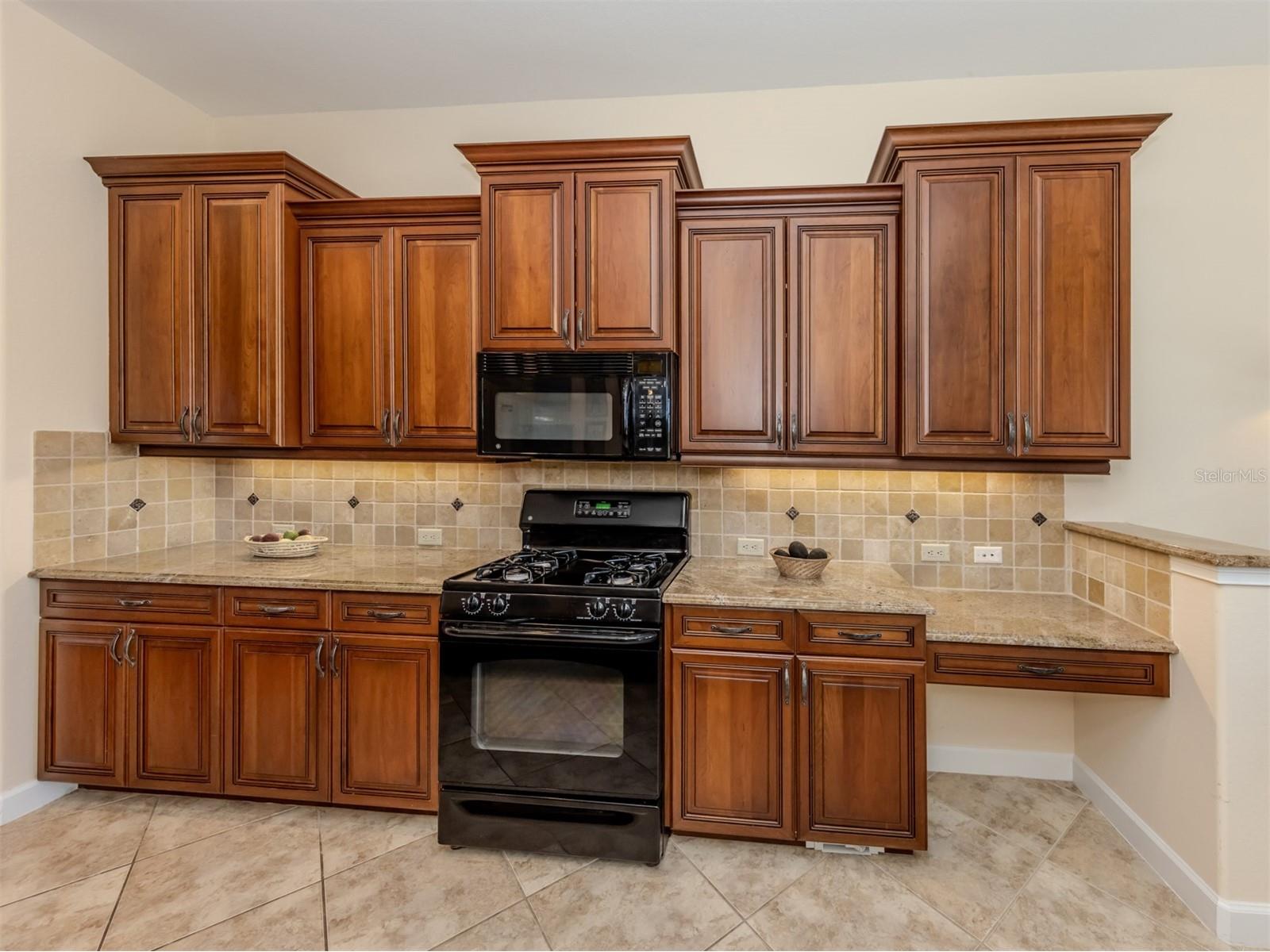 222 Martellago Drive North Venice FL 34275 N6144076 image16