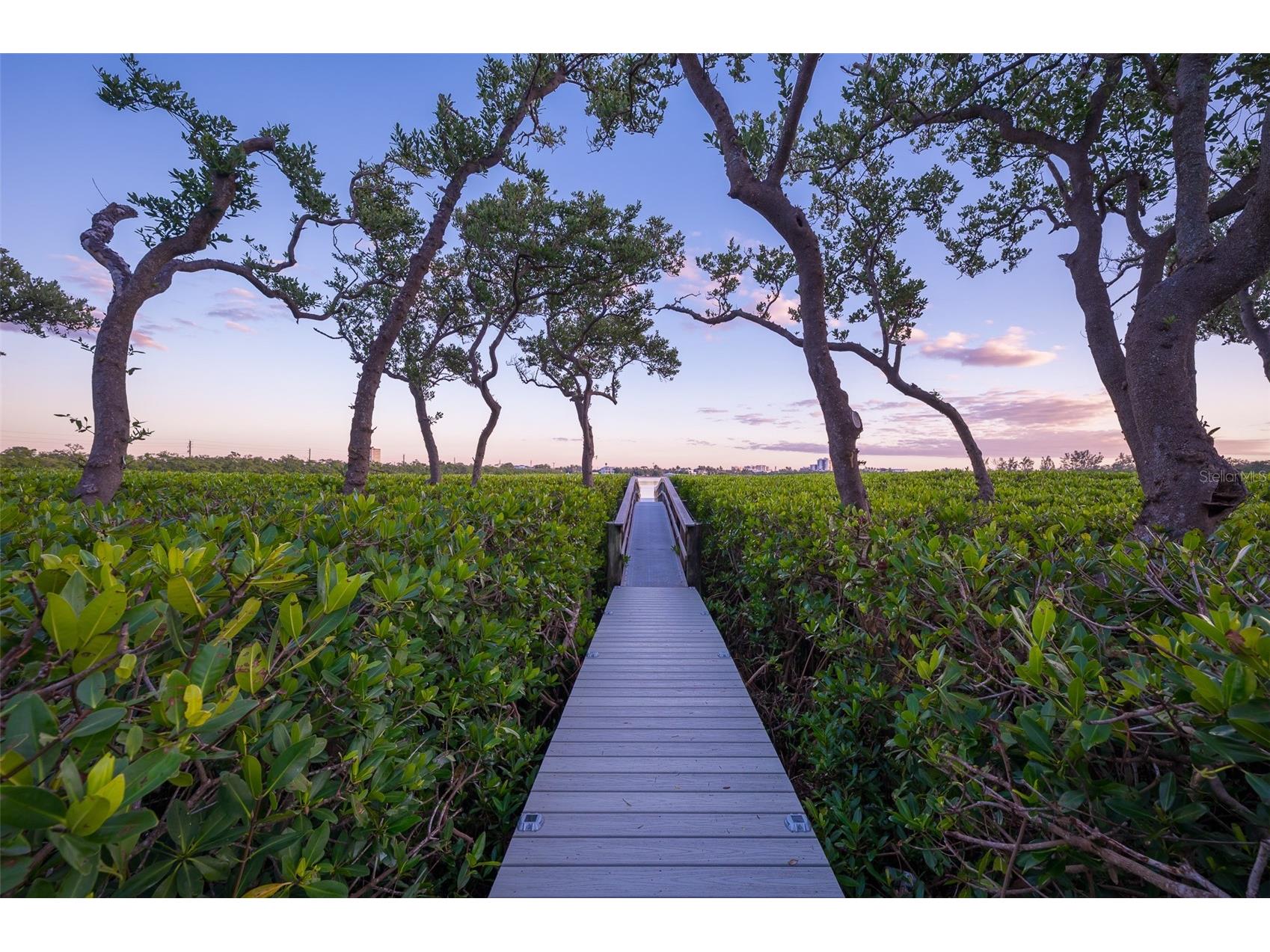 222 Morningside Drive Sarasota FL 34236 - PANSY BAYOU A4675254 image18