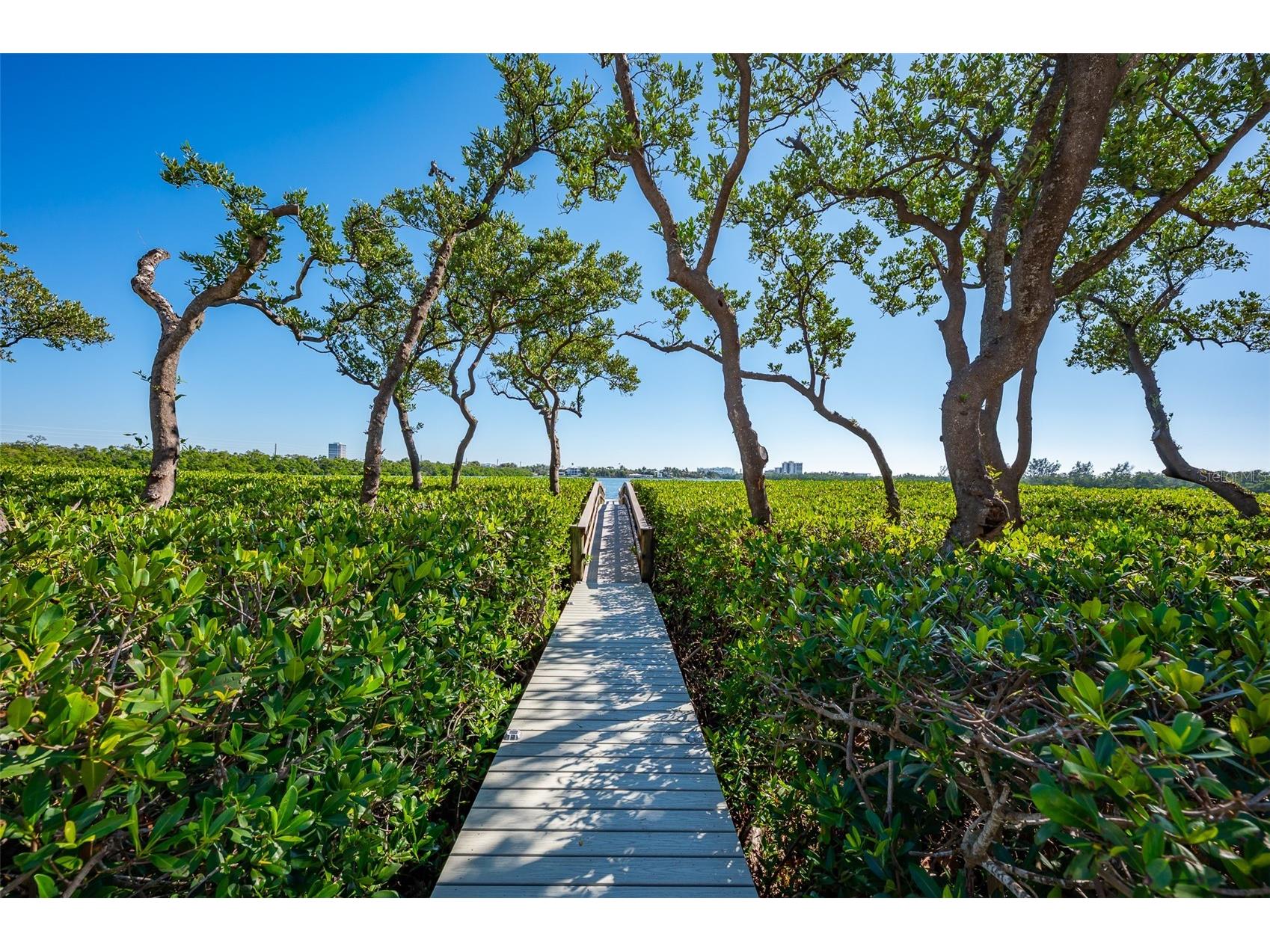 222 Morningside Drive Sarasota FL 34236 - PANSY BAYOU A4675254 image19