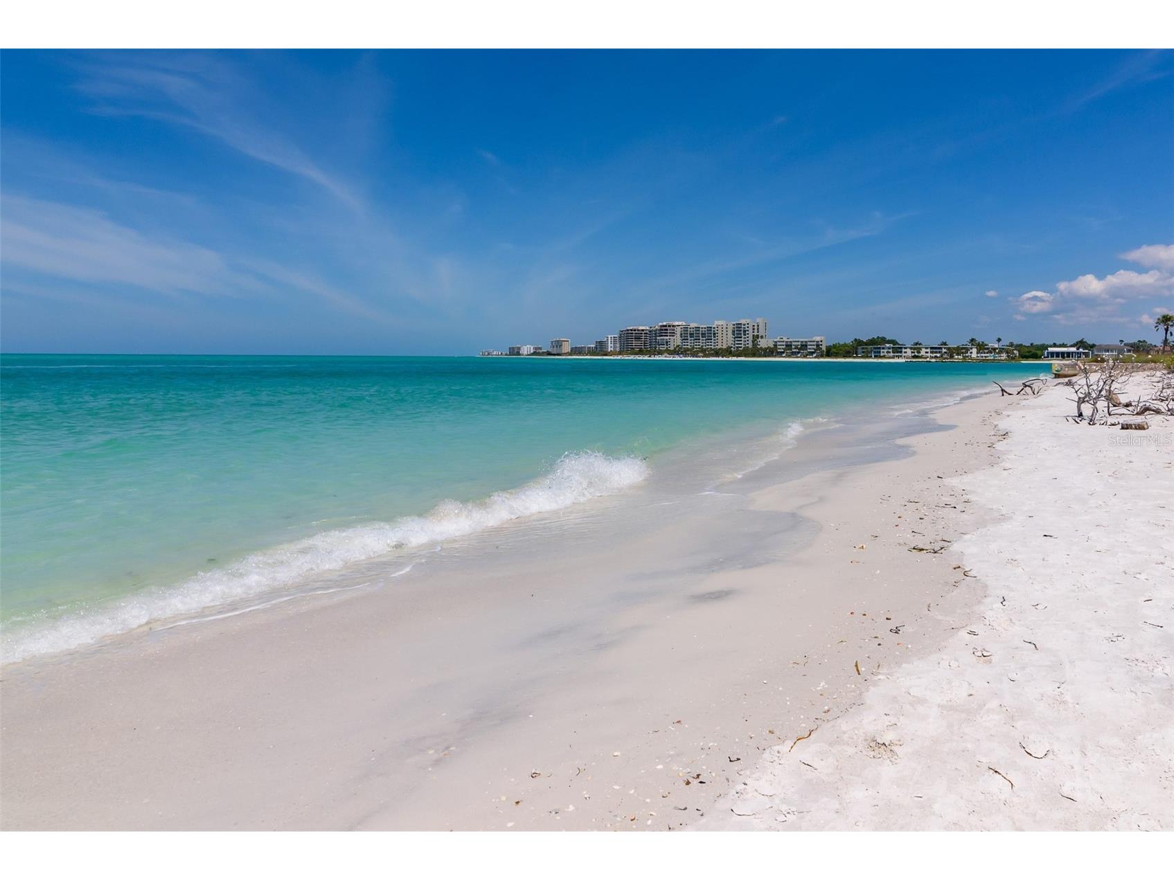 222 Morningside Drive Sarasota FL 34236 - PANSY BAYOU A4675254 image68