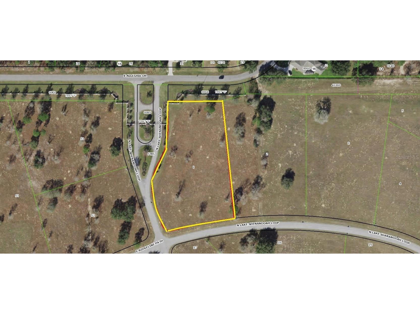 222 N Lake Shenandoah Loop Inverness FL 34453 OM645973 image1