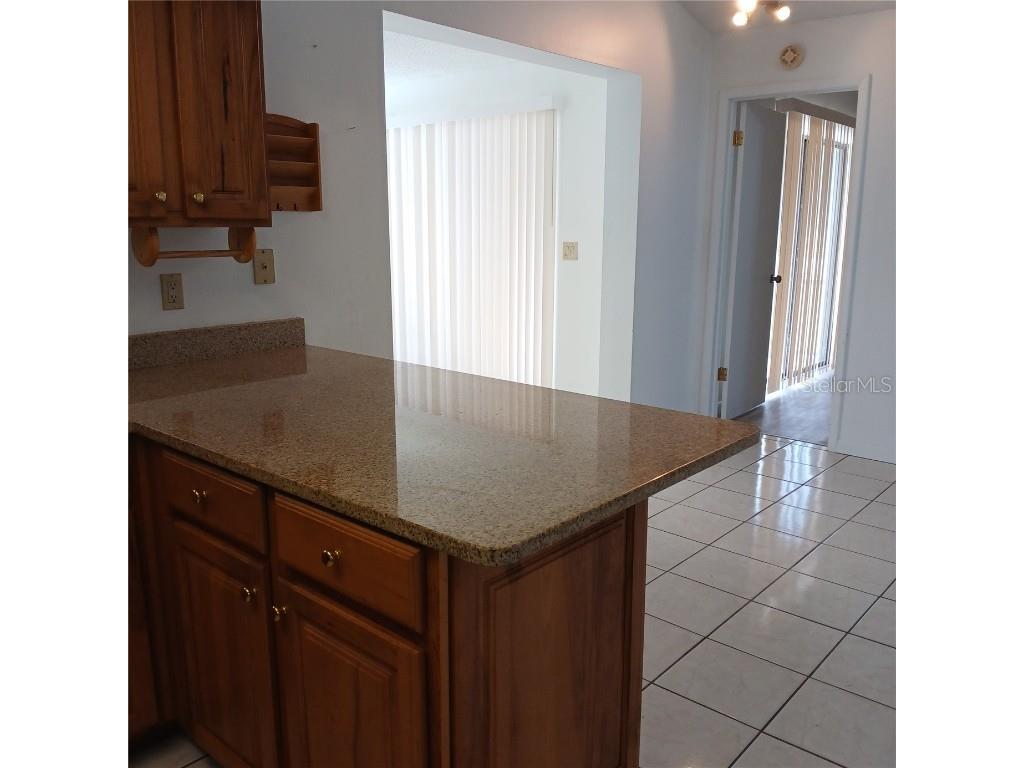 222 N Mesquite Point Lecanto FL 34461 OM699750 image31