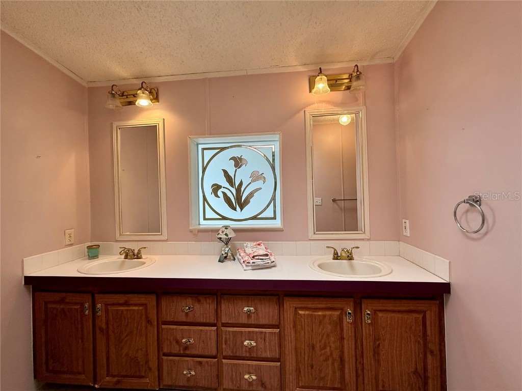 222 N Saint George Circle Apollo Beach FL 33572 TB8350506 image12