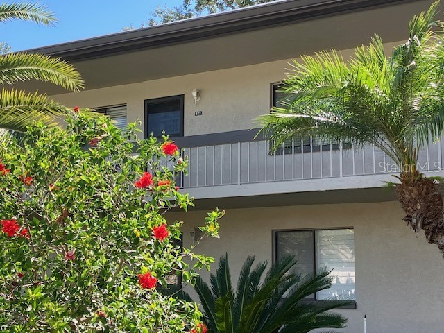 222 Nina Way #222 Oldsmar FL 34677 U8203360 image1