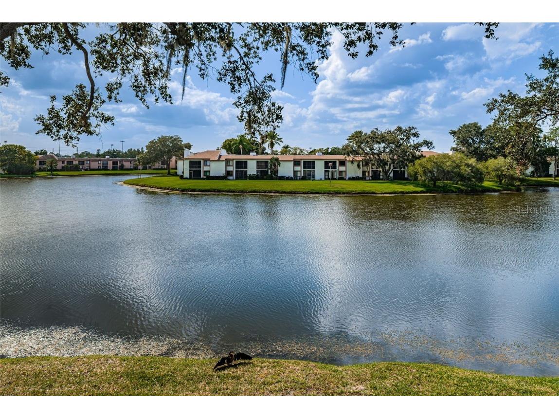 222 Nina Way #222 Oldsmar FL 34677 U8239596 image1