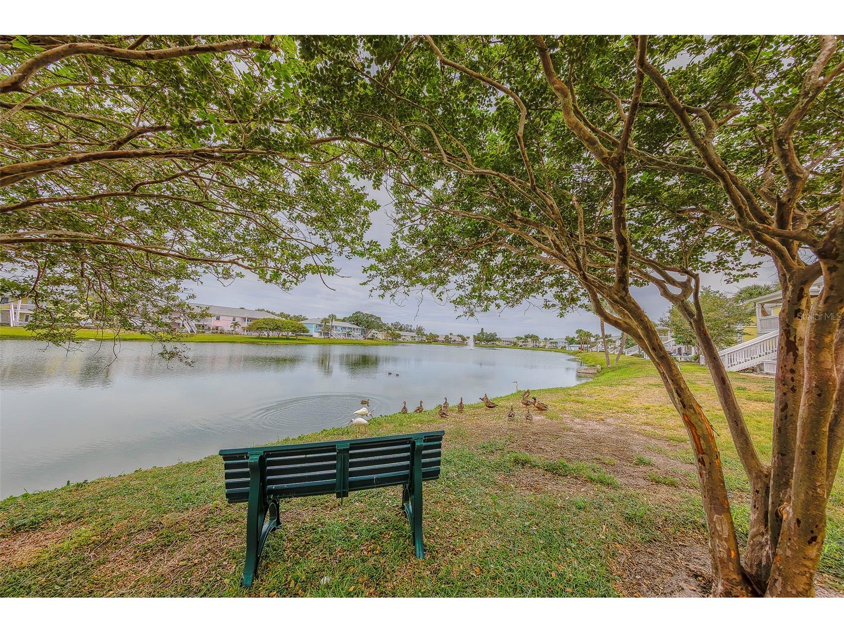 222 Pompano Drive SE #H Saint Petersburg FL 33705 TB8518474 image31