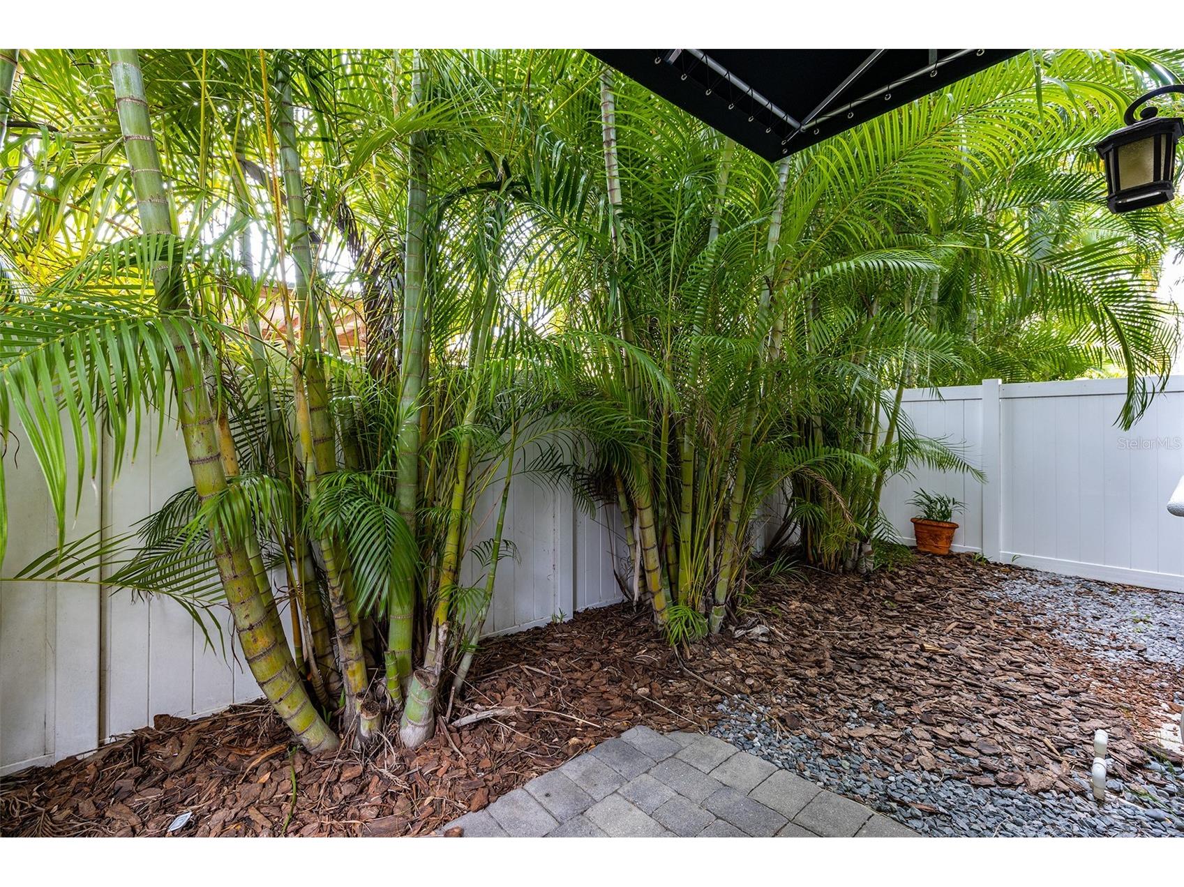 222 S Audubon Avenue Tampa FL 33609 TB8463193 image38