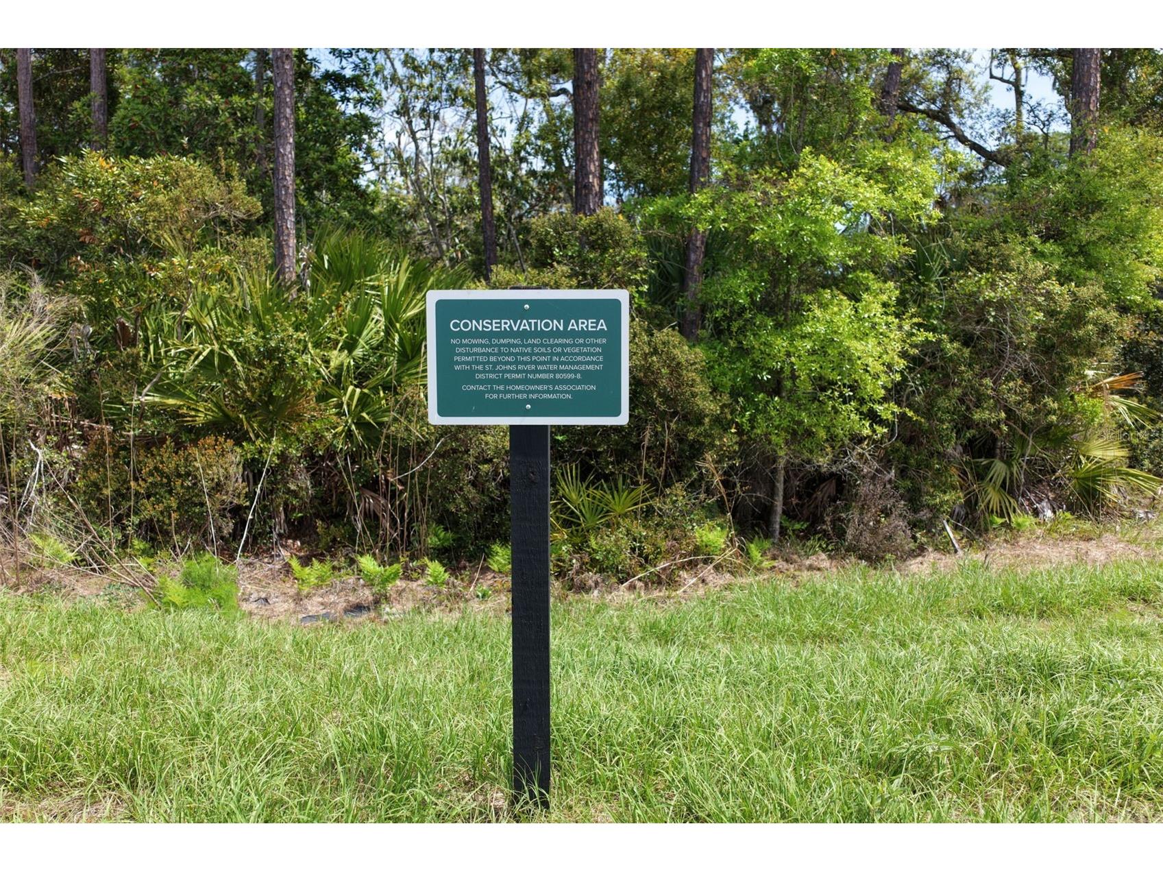222 Stillwater Drive Flagler Beach FL 32136 FC317396 image4
