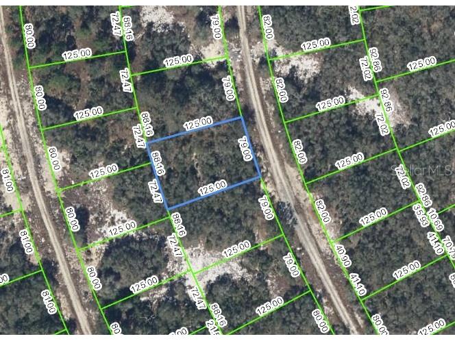 222 Summer Wind Lane Lake Placid FL 33852 J966441 image1