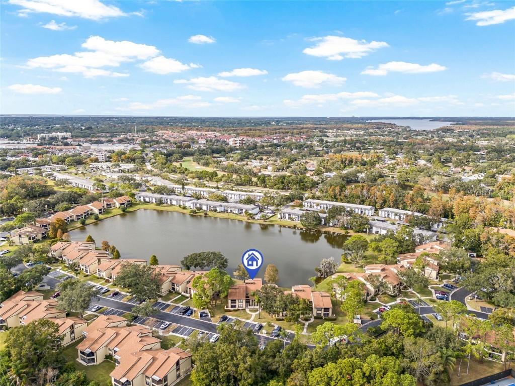 222 Woodlake Wynde #222 Oldsmar FL 34677 TB8452014 image22