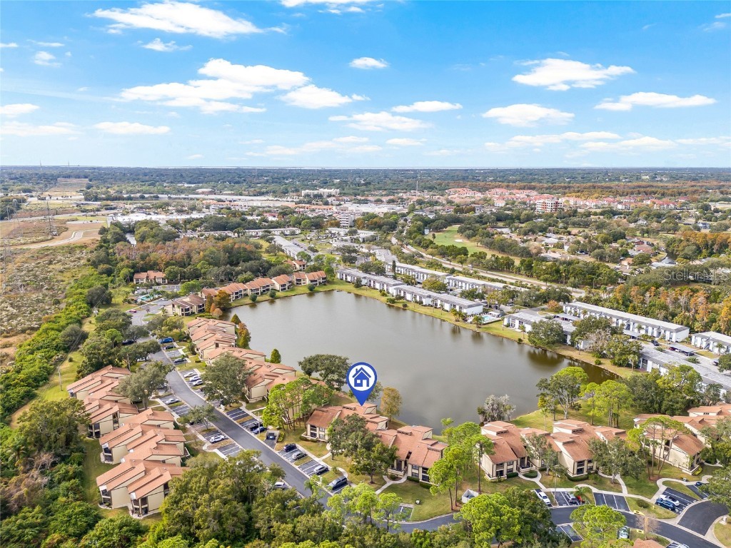 222 Woodlake Wynde #222 Oldsmar FL 34677 TB8452014 image4