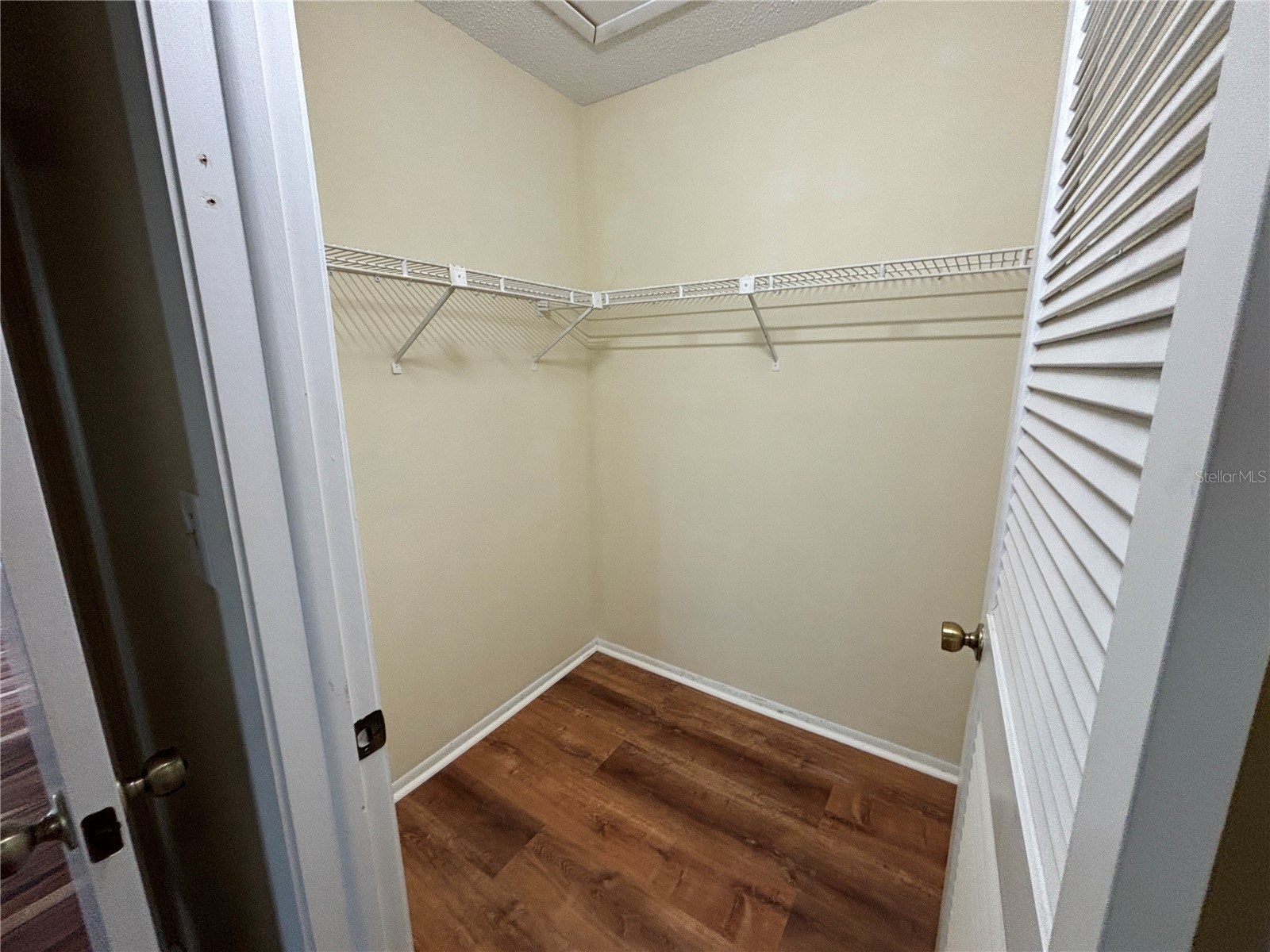 2220 Bancroft Circle S #D Palm Harbor FL 34683 TB8493959 image18