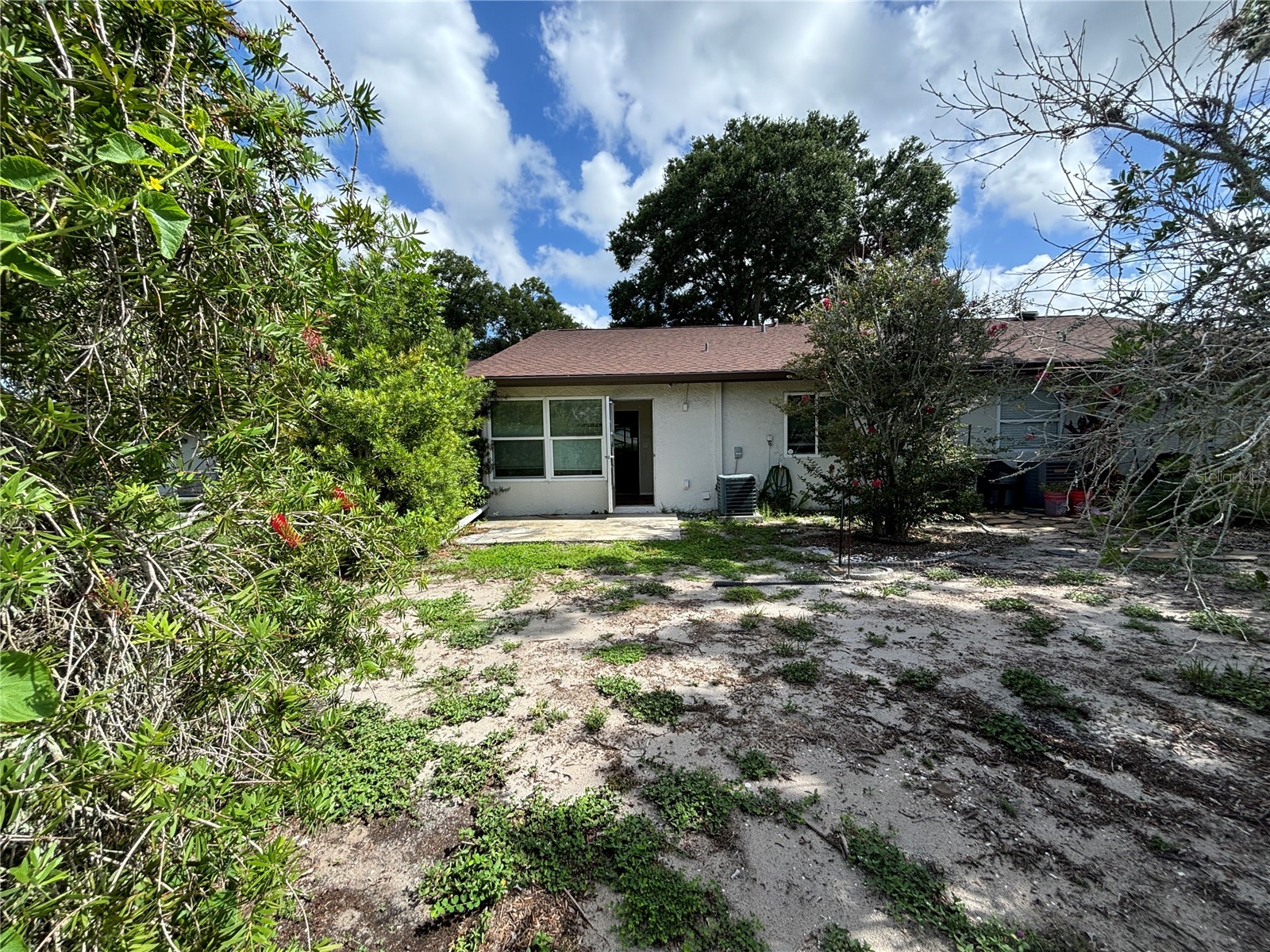 2220 Bancroft Circle S #D Palm Harbor FL 34683 TB8493959 image28