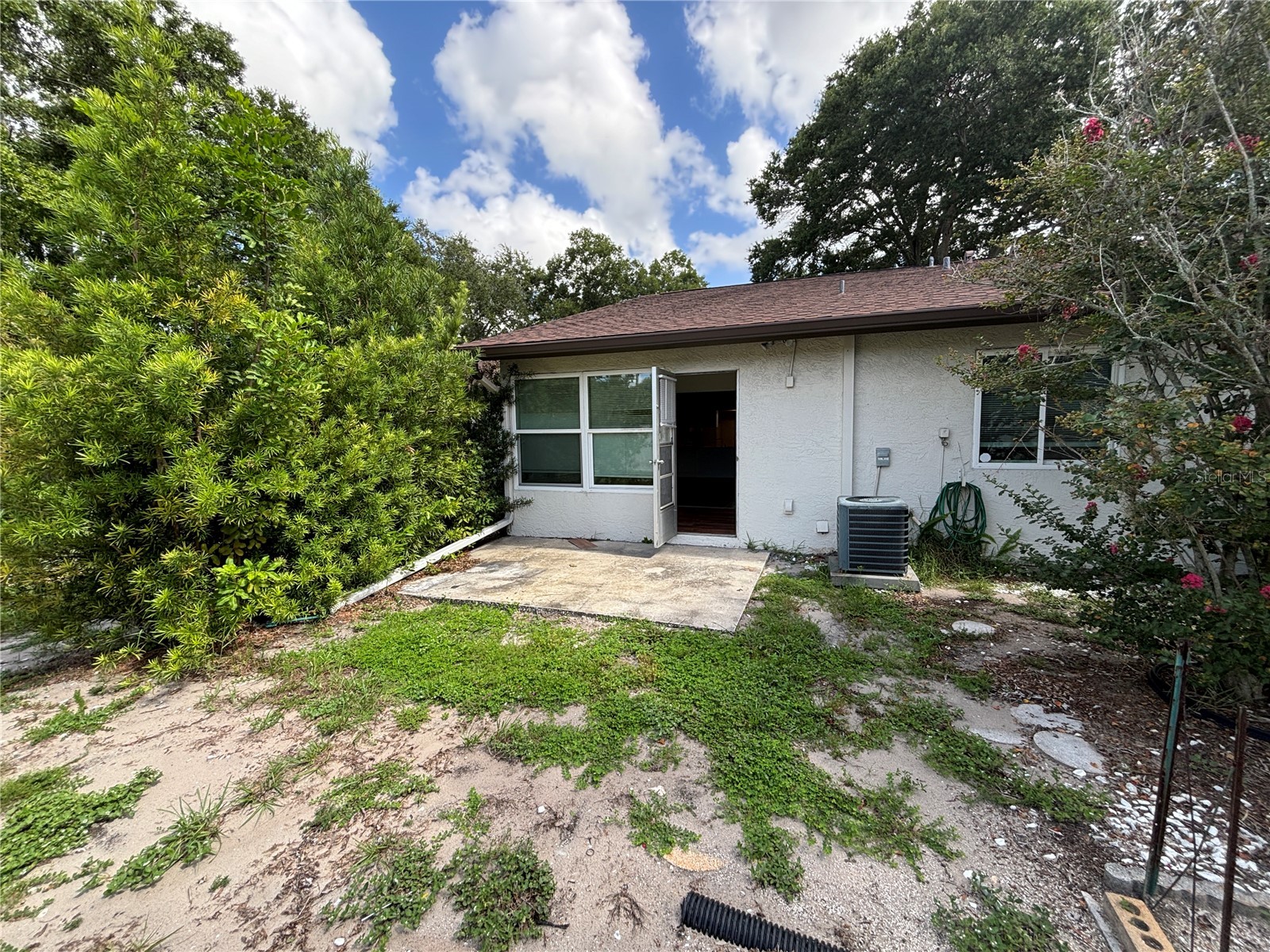 2220 Bancroft Circle S #D Palm Harbor FL 34683 TB8493959 image29