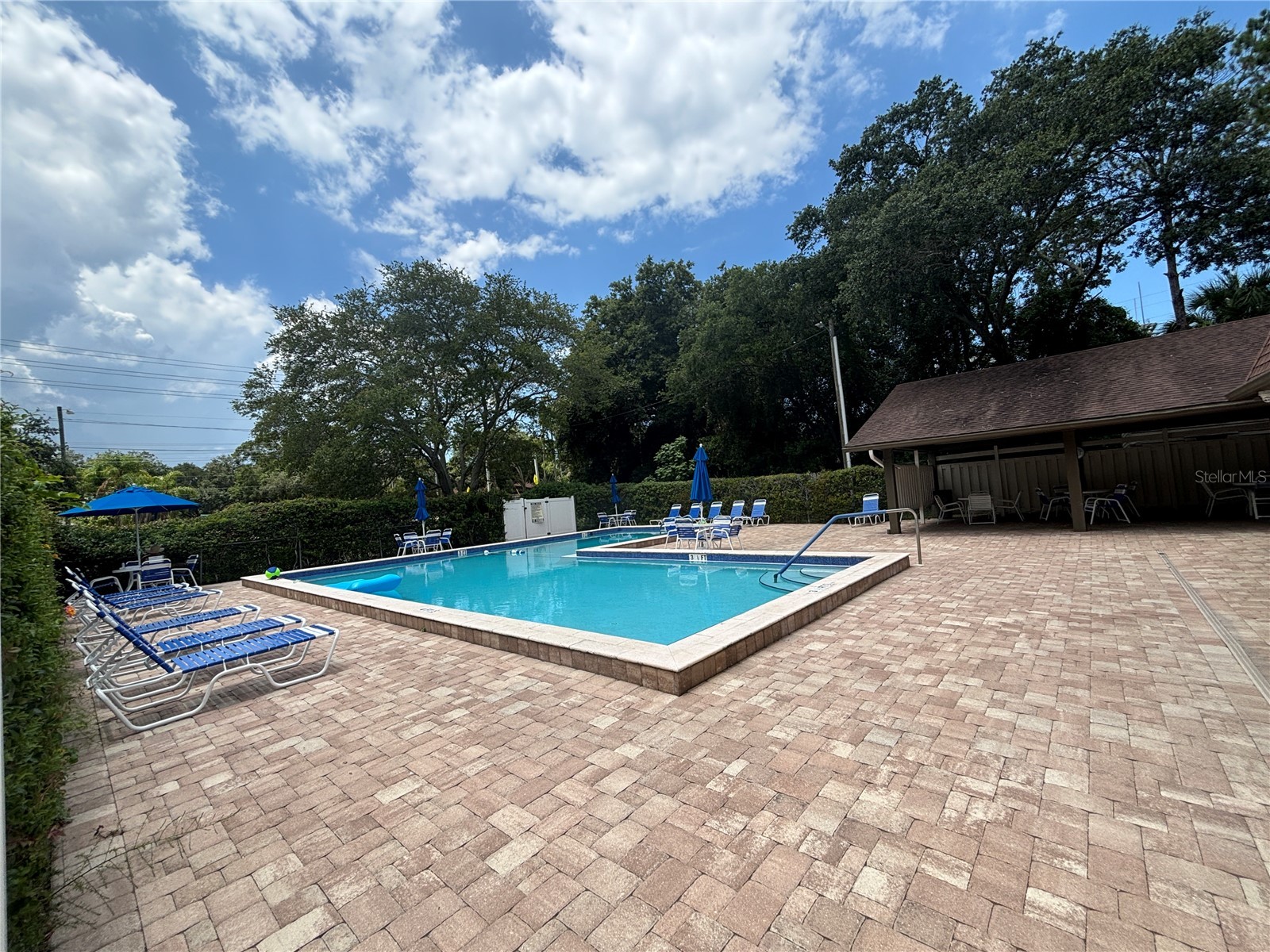 2220 Bancroft Circle S #D Palm Harbor FL 34683 TB8493959 image31