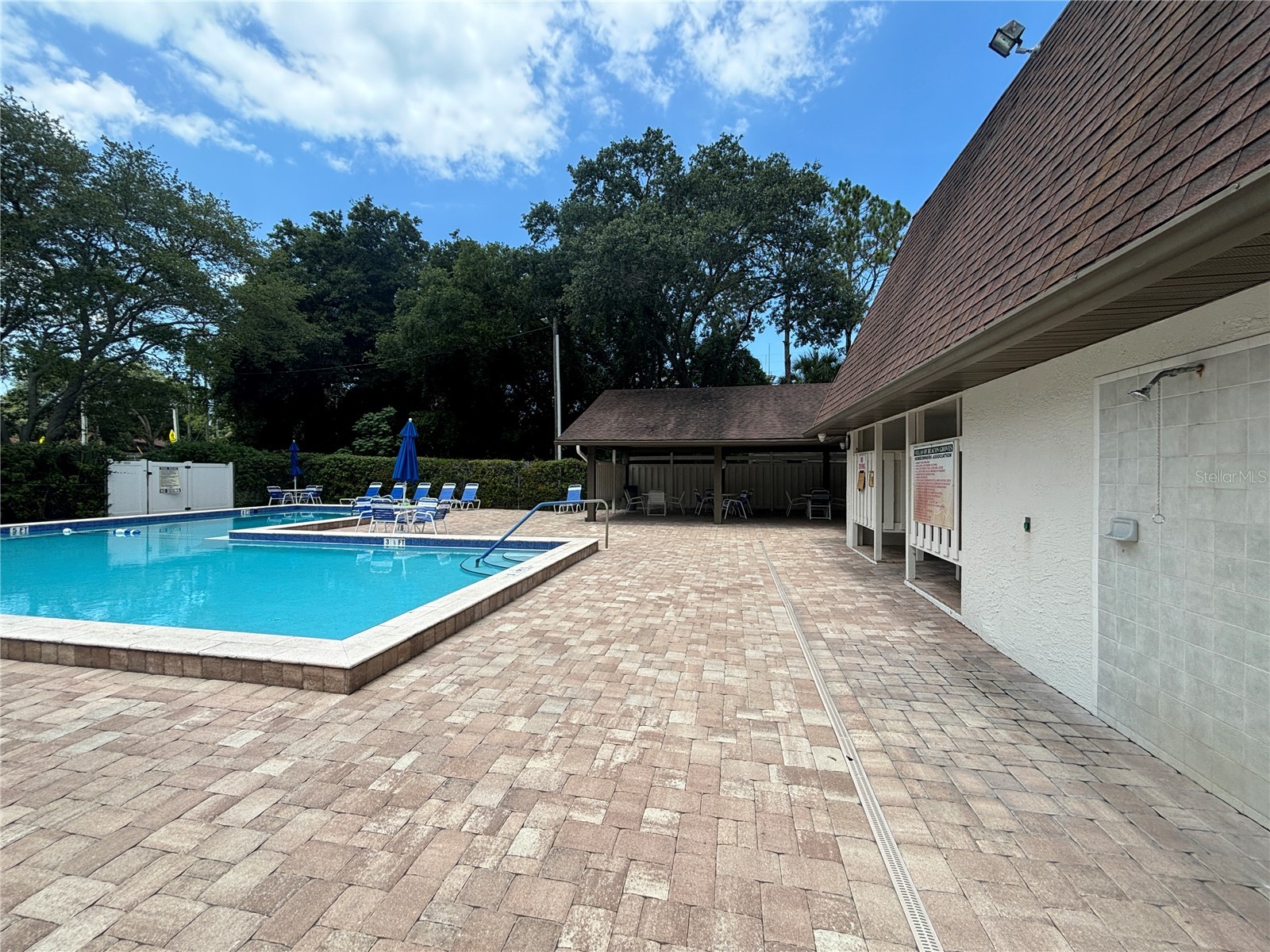 2220 Bancroft Circle S #D Palm Harbor FL 34683 TB8493959 image32