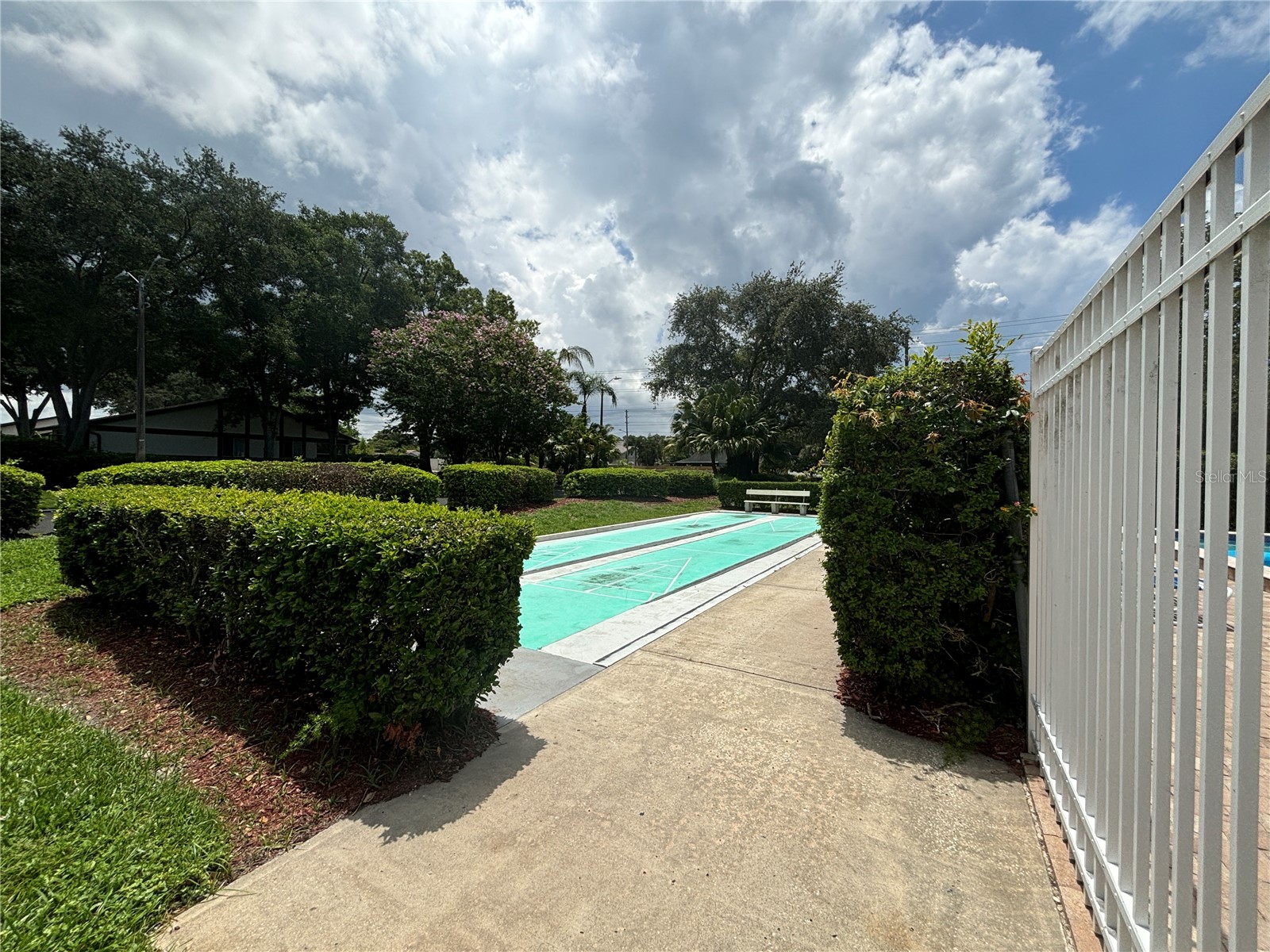 2220 Bancroft Circle S #D Palm Harbor FL 34683 TB8493959 image33