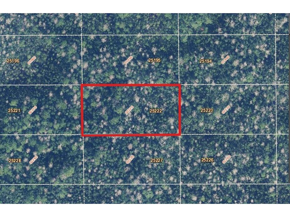 2220 Dill Road Orlando FL 32820 O6391702 image1