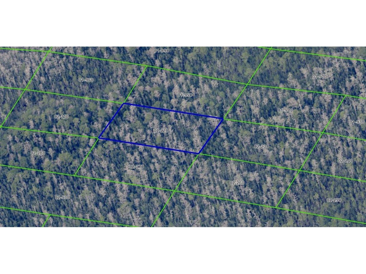 2220 Dill Road Orlando FL 32820 O6391702 image3