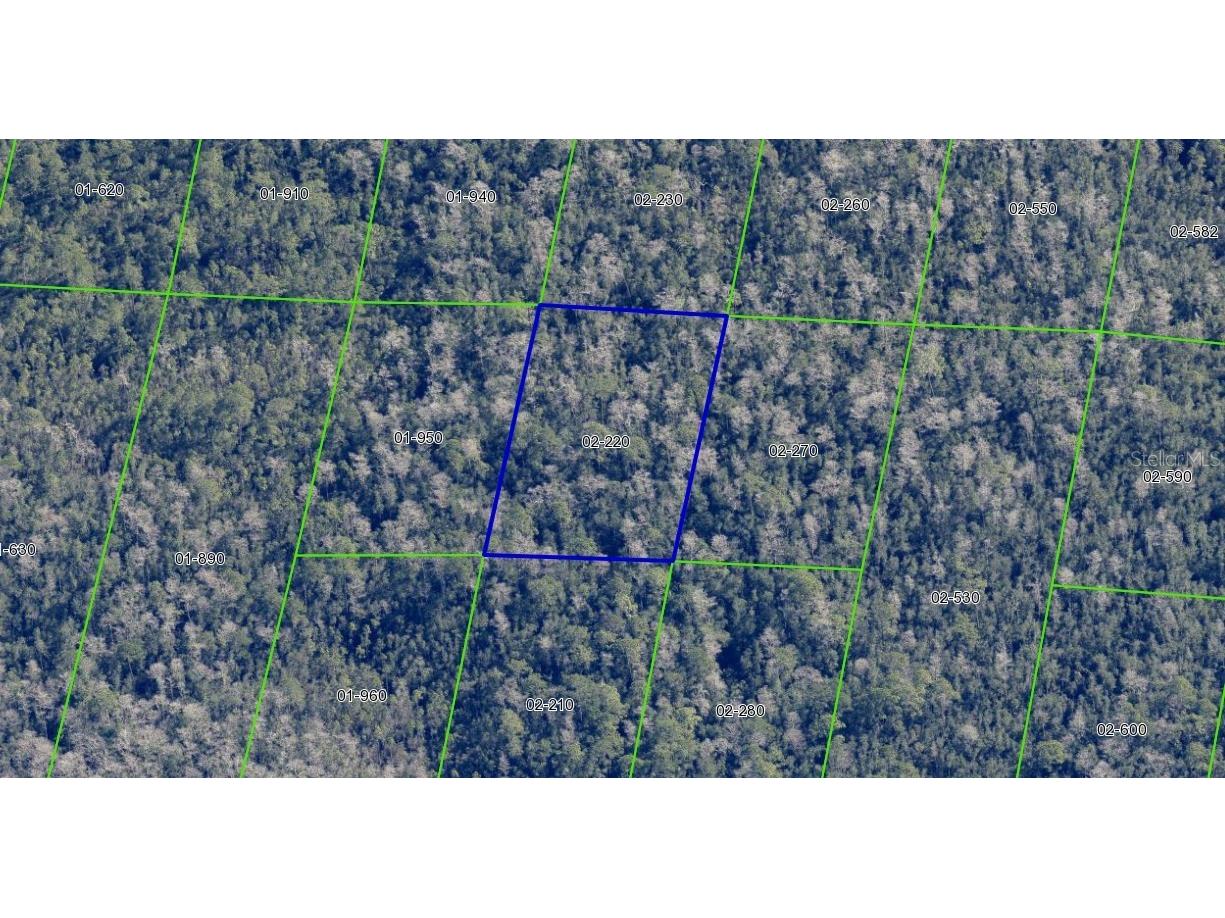 2220 Dill Road Orlando FL 32820 O6391702 image4