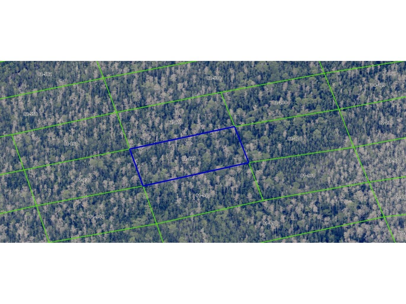 2220 Dill Road Orlando FL 32820 O6391702 image5