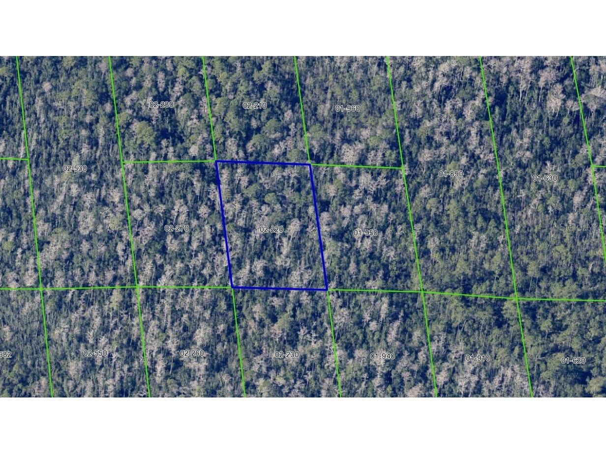 2220 Dill Road Orlando FL 32820 O6391702 image6