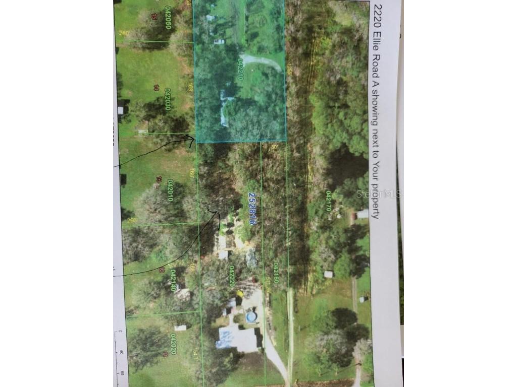 2220 Ellie Road #B Auburndale FL 33823 P4937352 image11