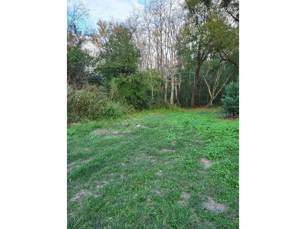 2220 Ellie Road #B Auburndale FL 33823 P4937352 image3