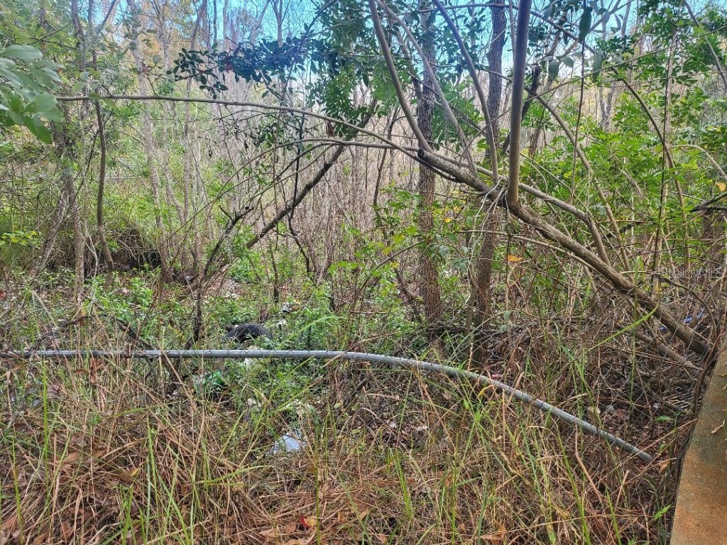 2220 Ellie Road #B Auburndale FL 33823 P4937352 image6