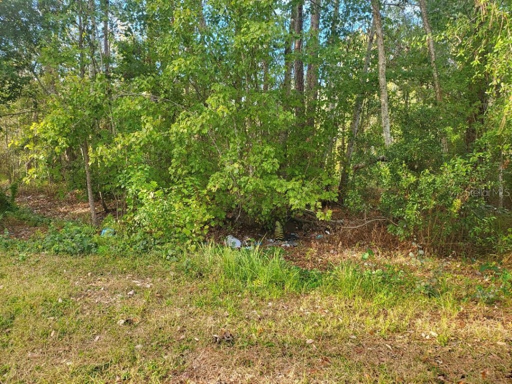 2220 Ellie Road #B Auburndale FL 33823 P4937352 image7