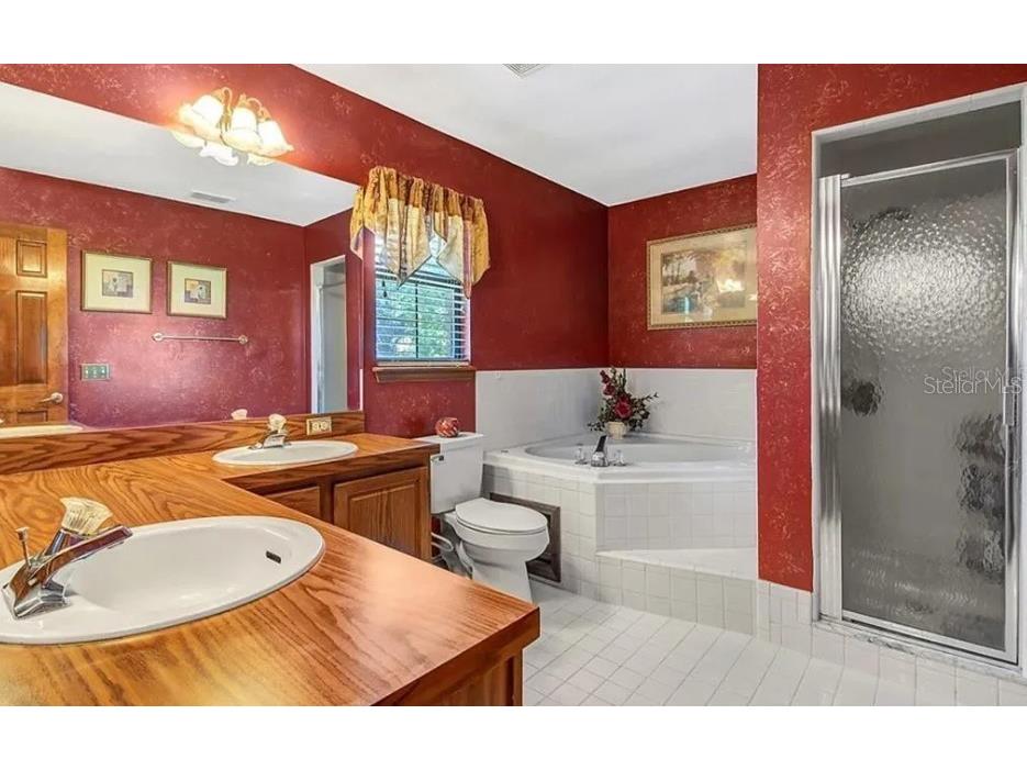 2220 Emperor Drive Kissimmee FL 34744 S5148275 image12