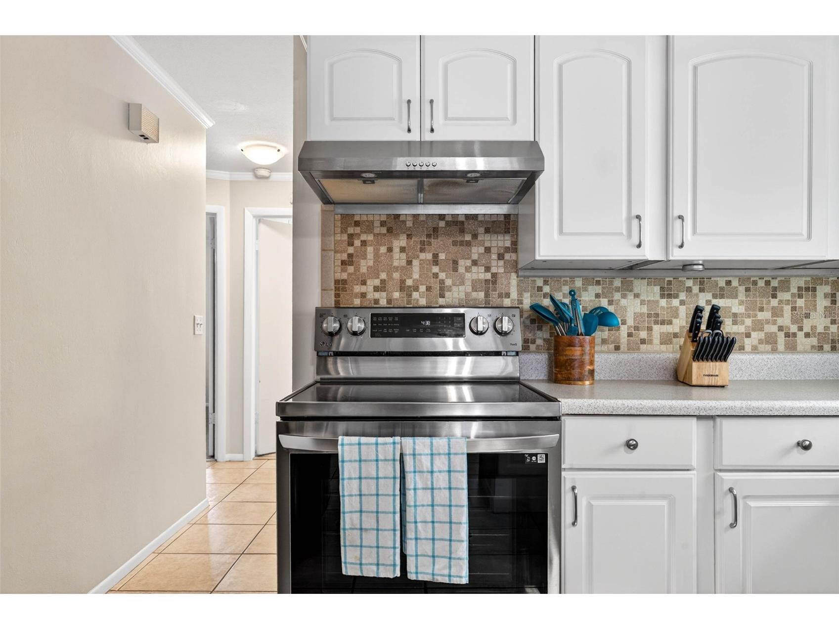 2220 Lauren Drive Largo FL 33774 TB8511649 image24