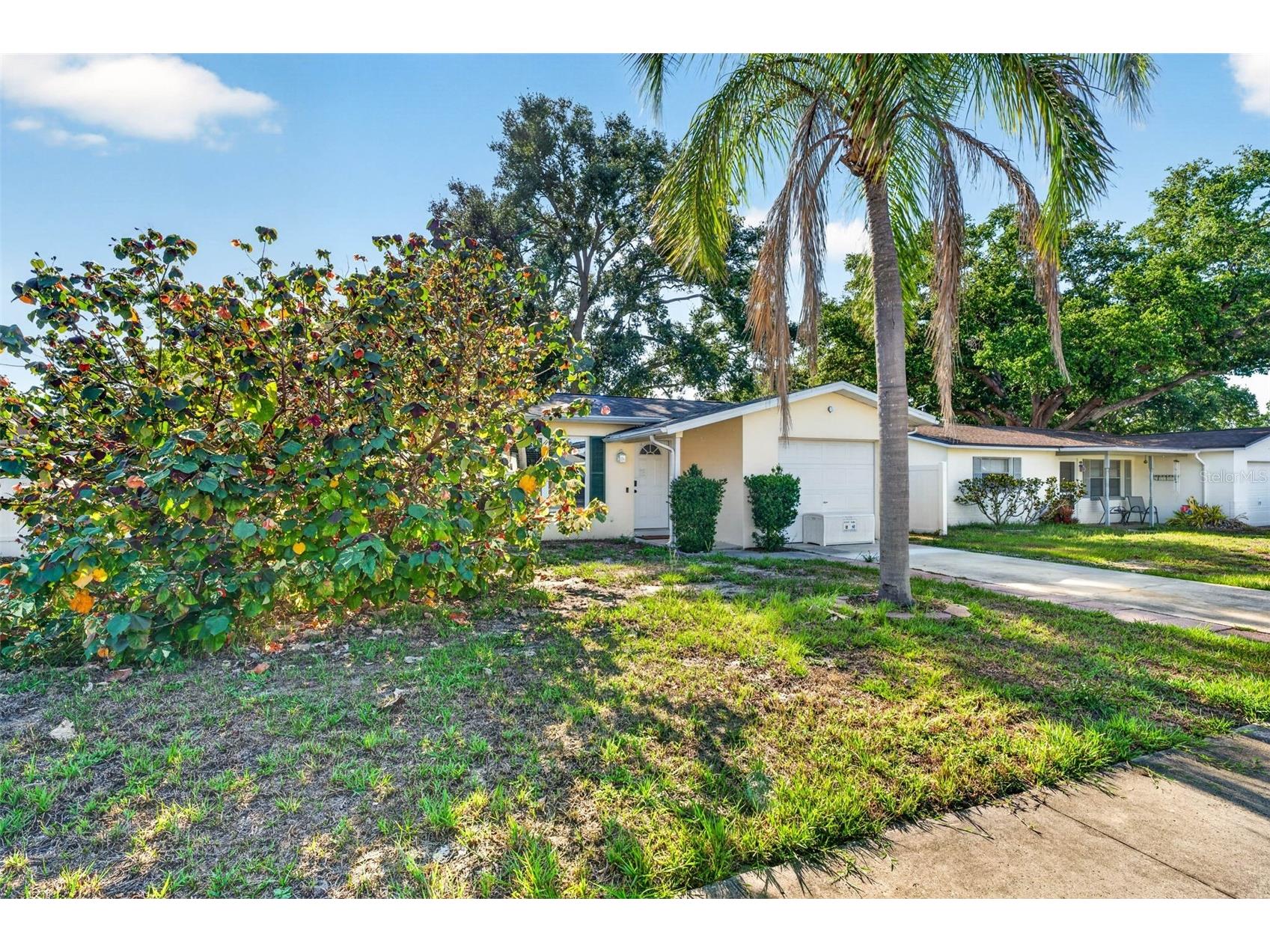 2220 Lauren Drive Largo FL 33774 TB8511649 image4